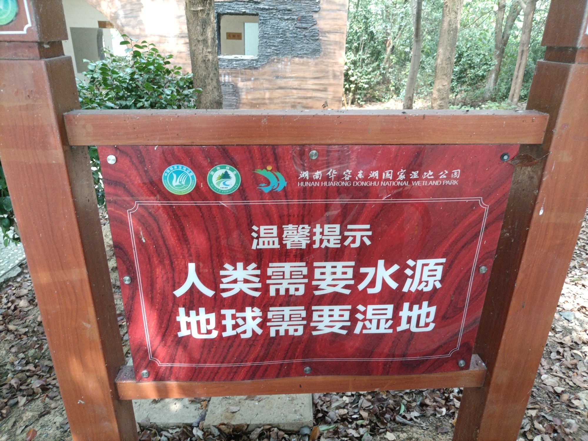 湖南华容东湖国家湿地公园旅行图片 2