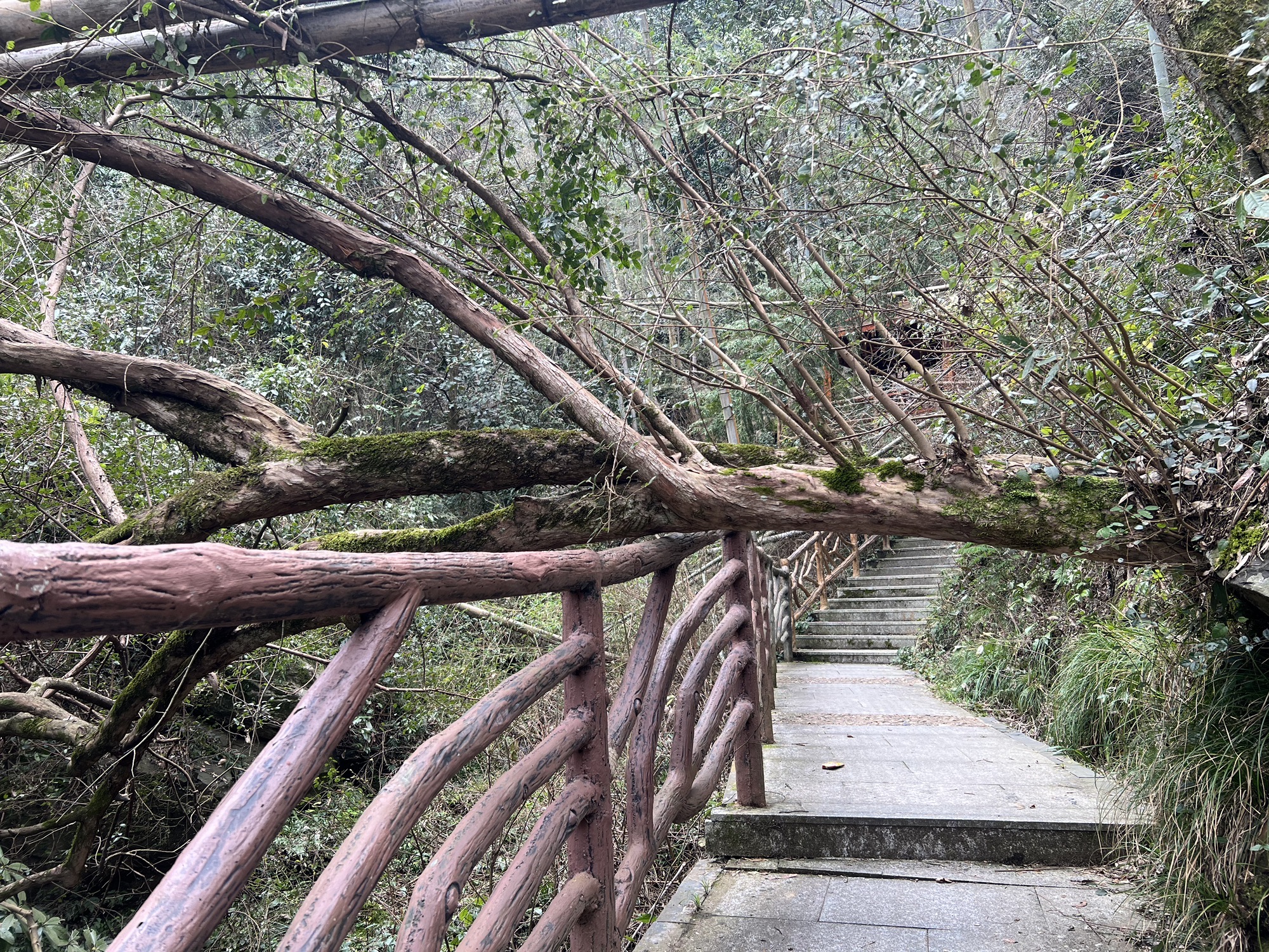 黄毛洞瀑布旅行图片 1