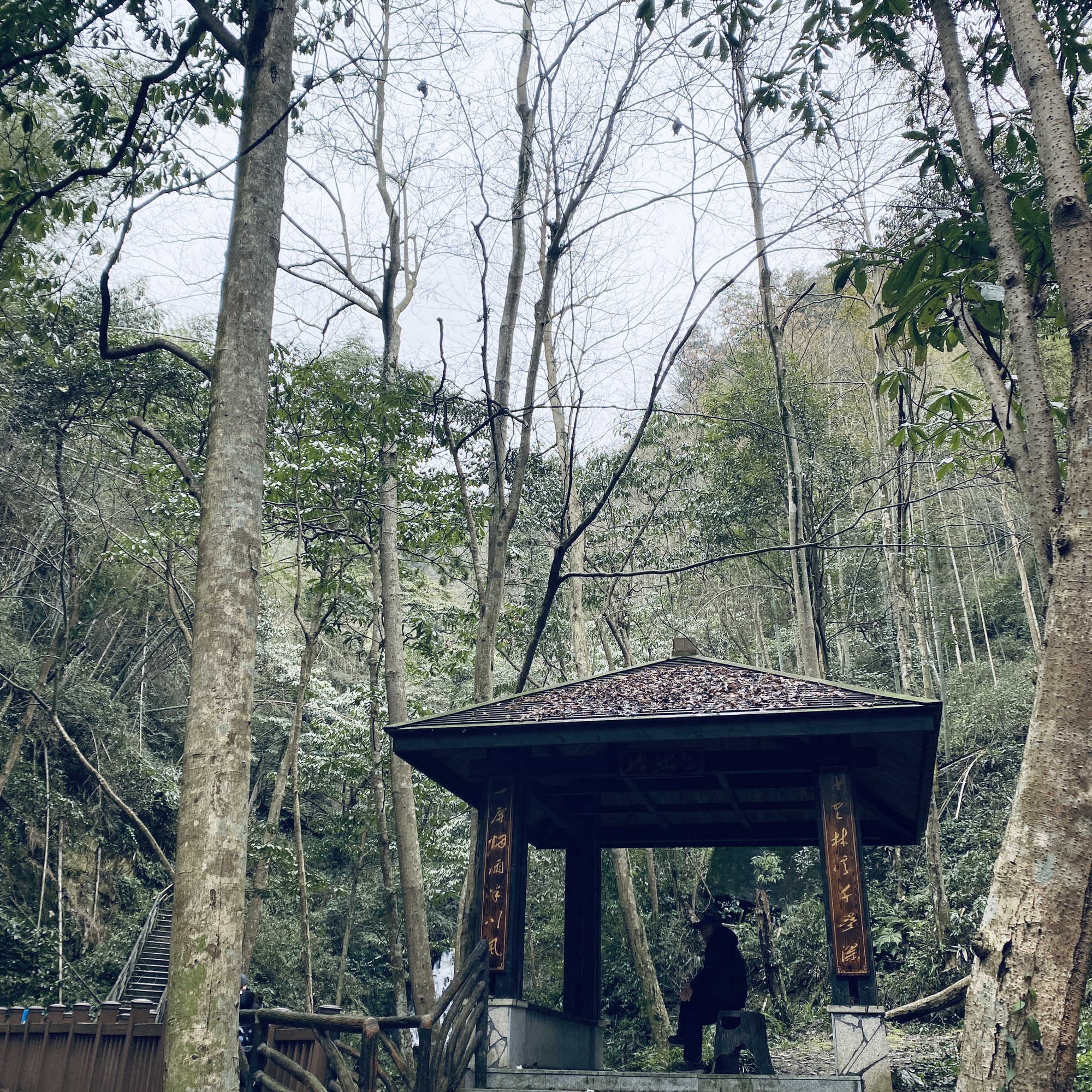 黄毛洞瀑布旅行图片 1