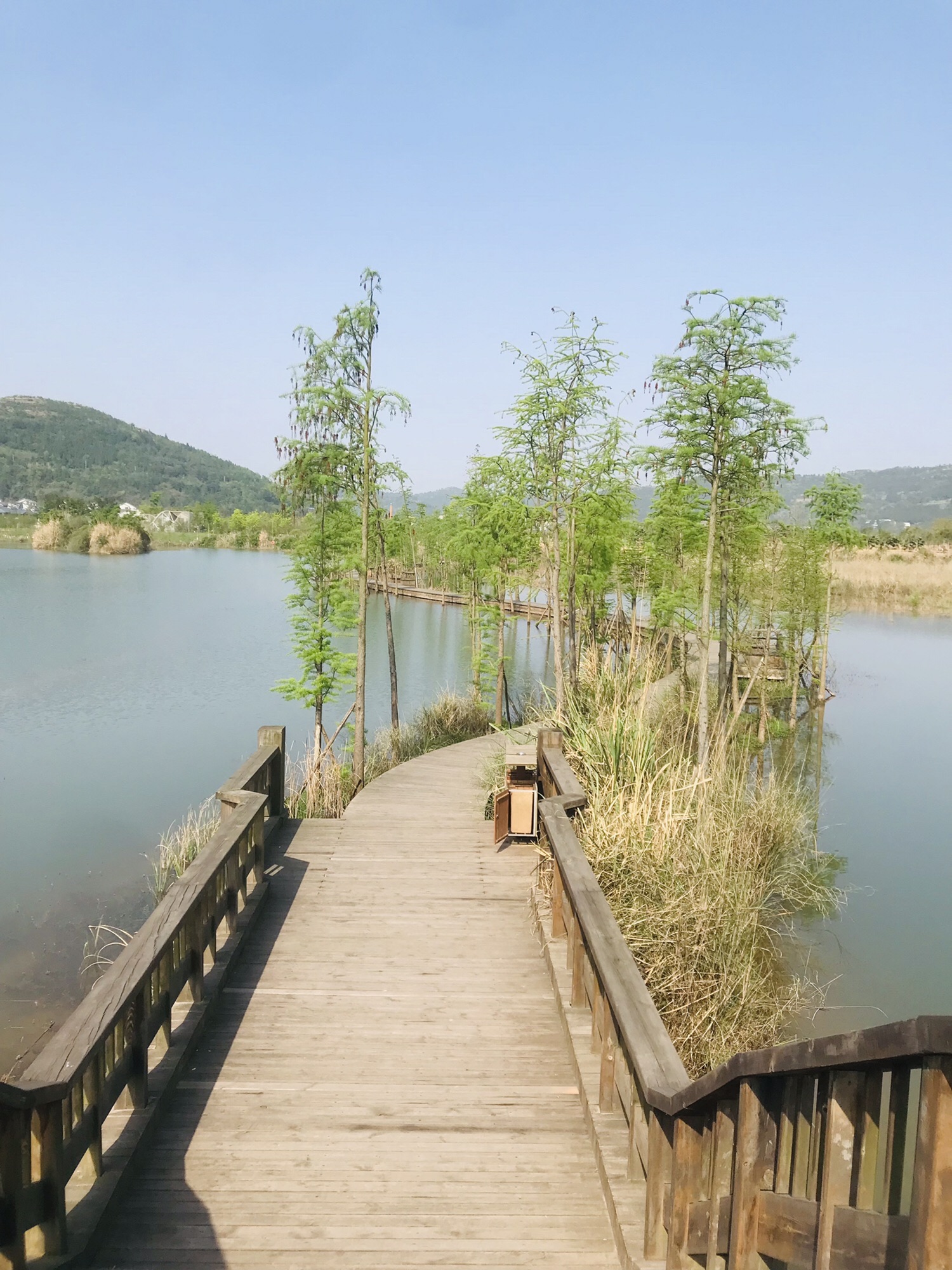 凤仪湾中法农业科技园旅行图片 2
