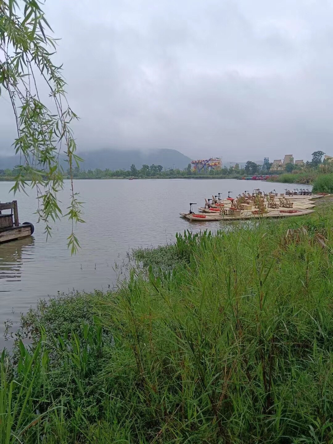 凤仪湾中法农业科技园旅行图片 3