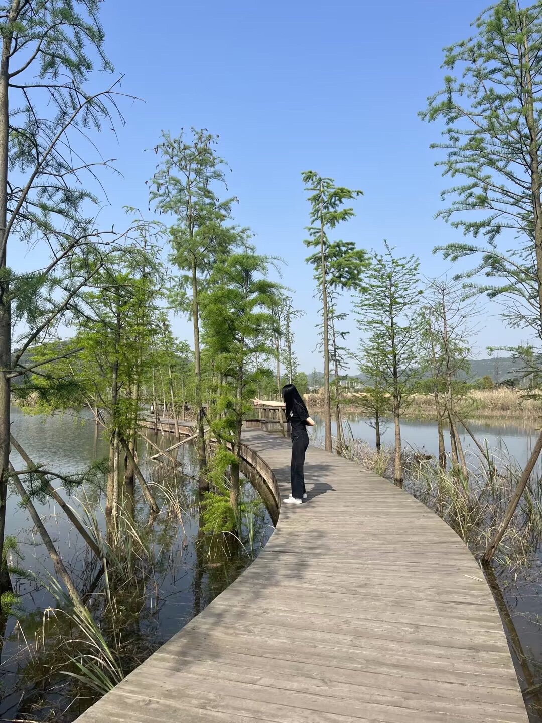 凤仪湾中法农业科技园旅行图片 1