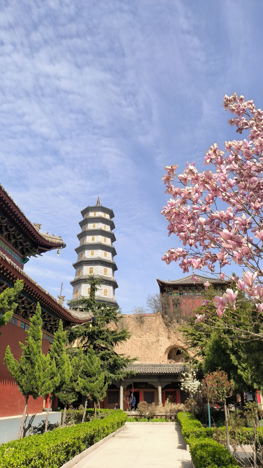 柏塔寺实景照片