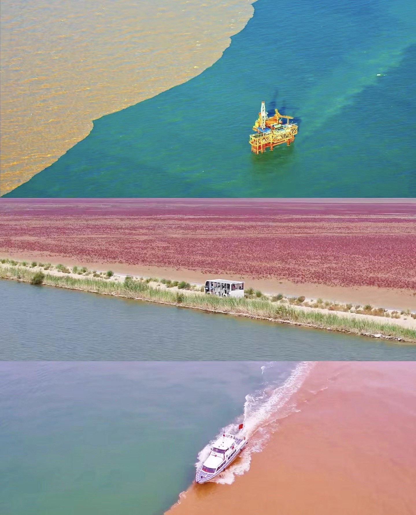 东营红滩湿地旅游区旅行图片 3