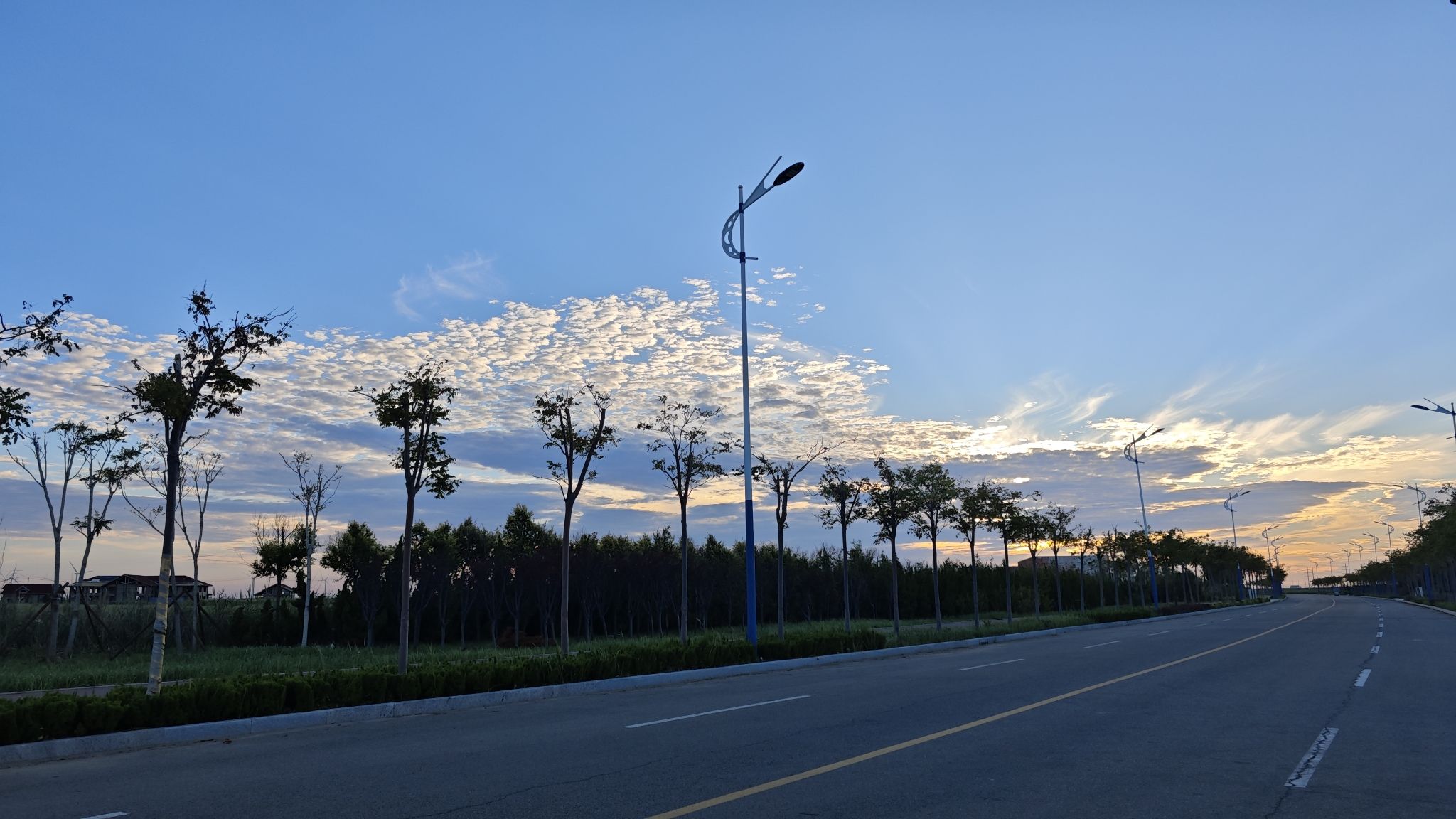 东营红滩湿地旅游区旅行图片 3