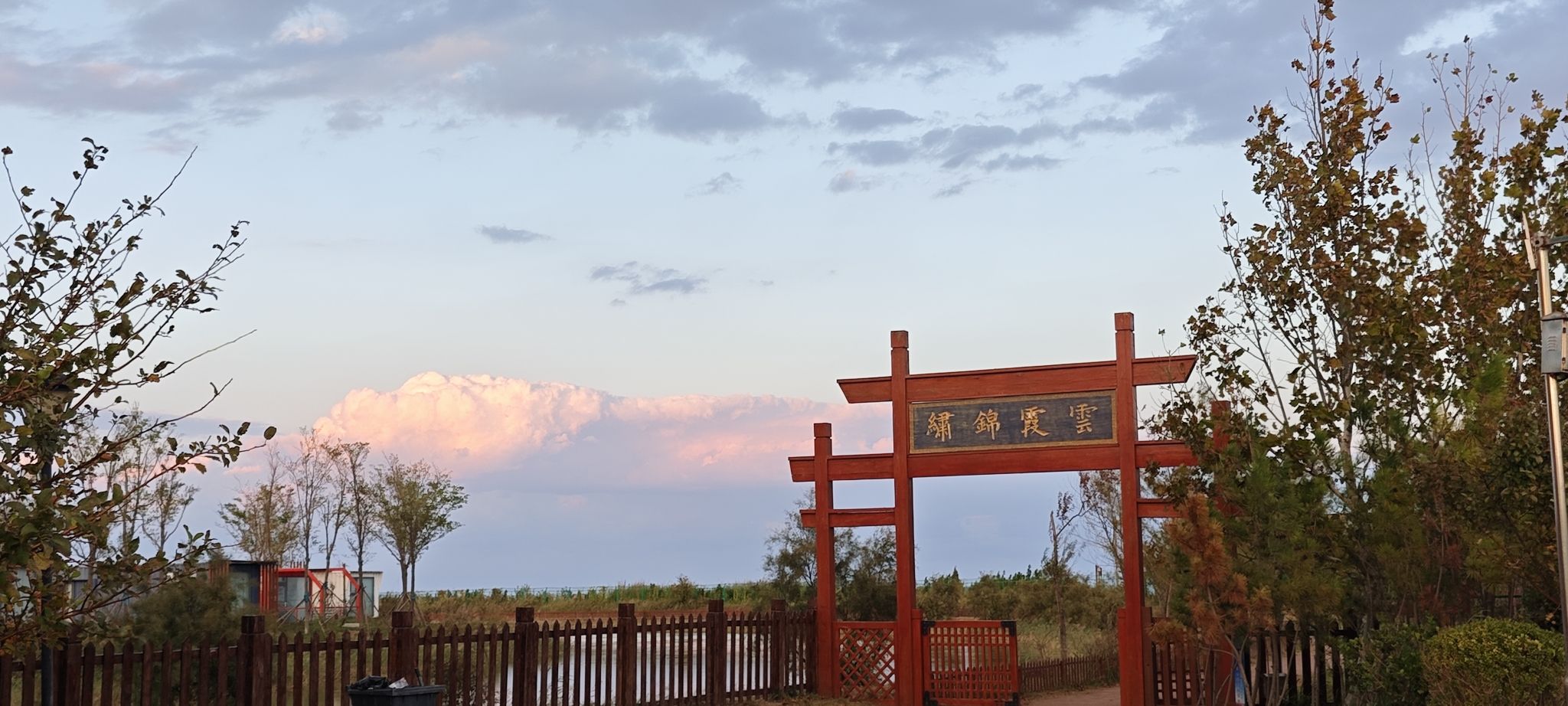 东营红滩湿地旅游区旅行图片 1