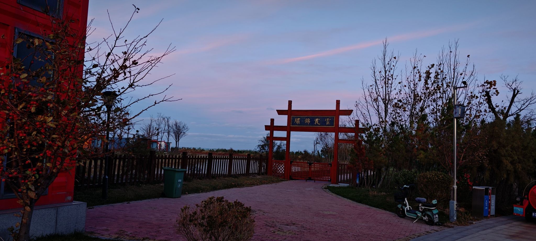 东营红滩湿地旅游区旅行图片 3