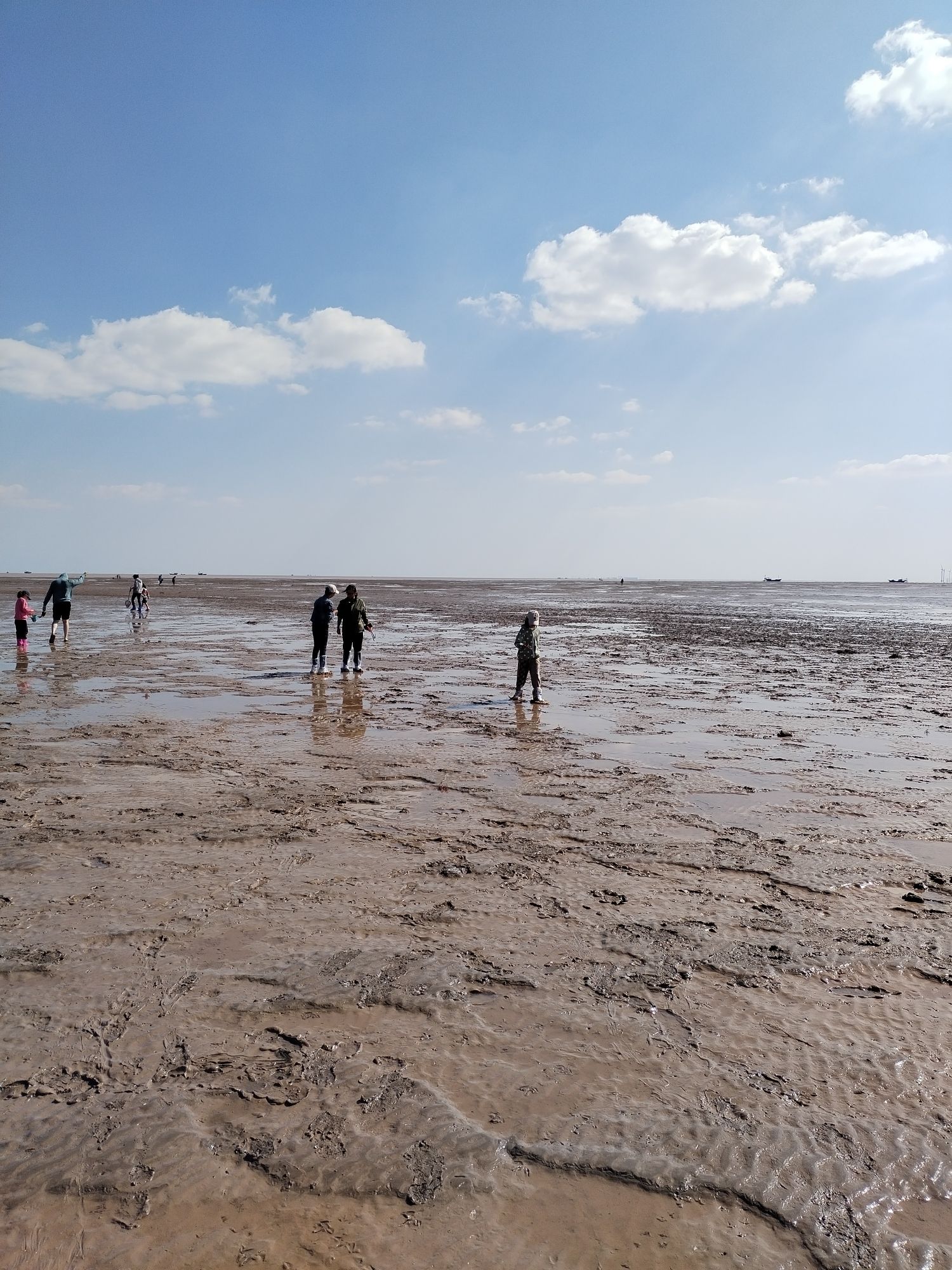 东营红滩湿地旅游区旅行图片 3