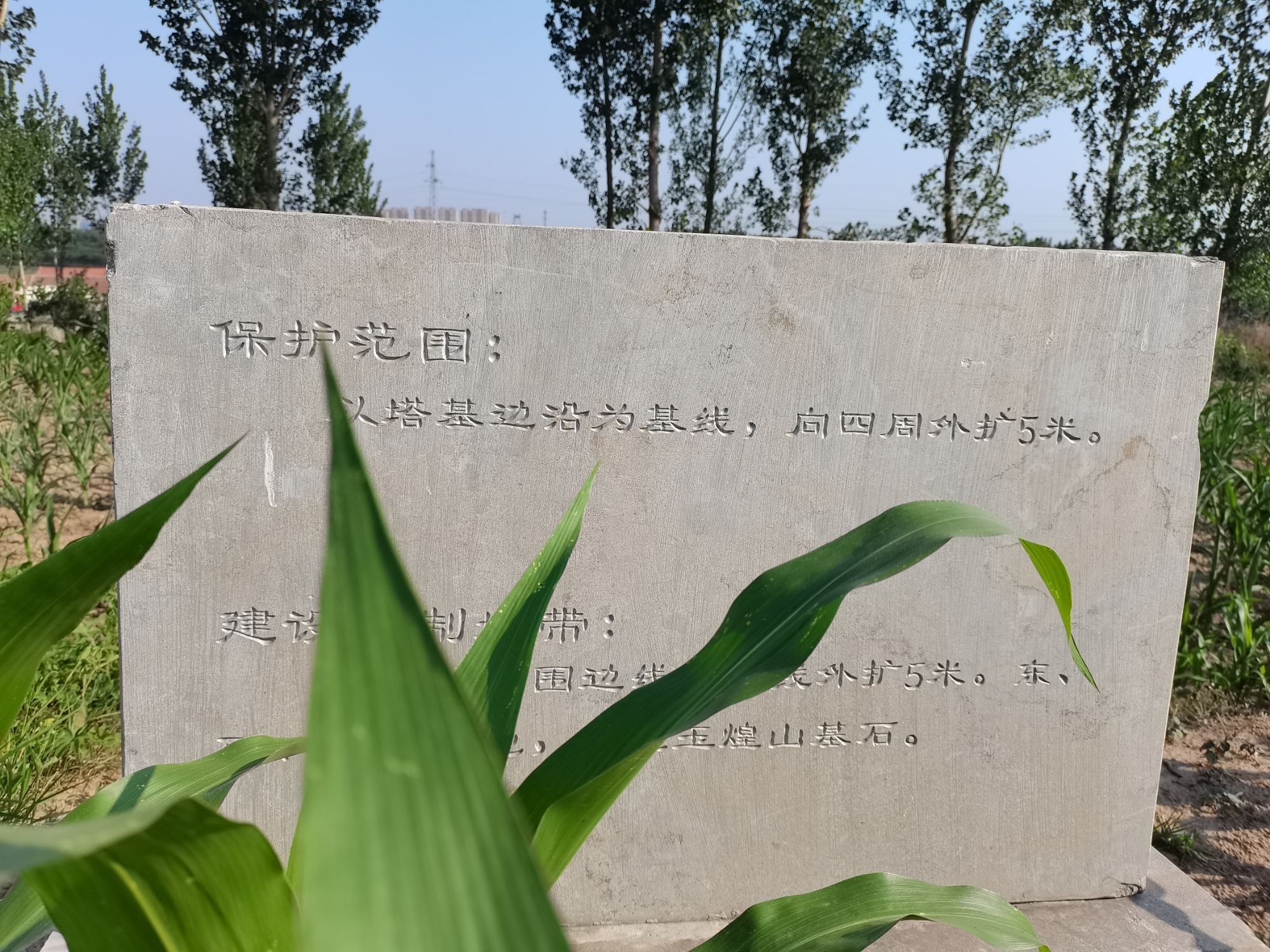 玉煌塔旅行图片 2