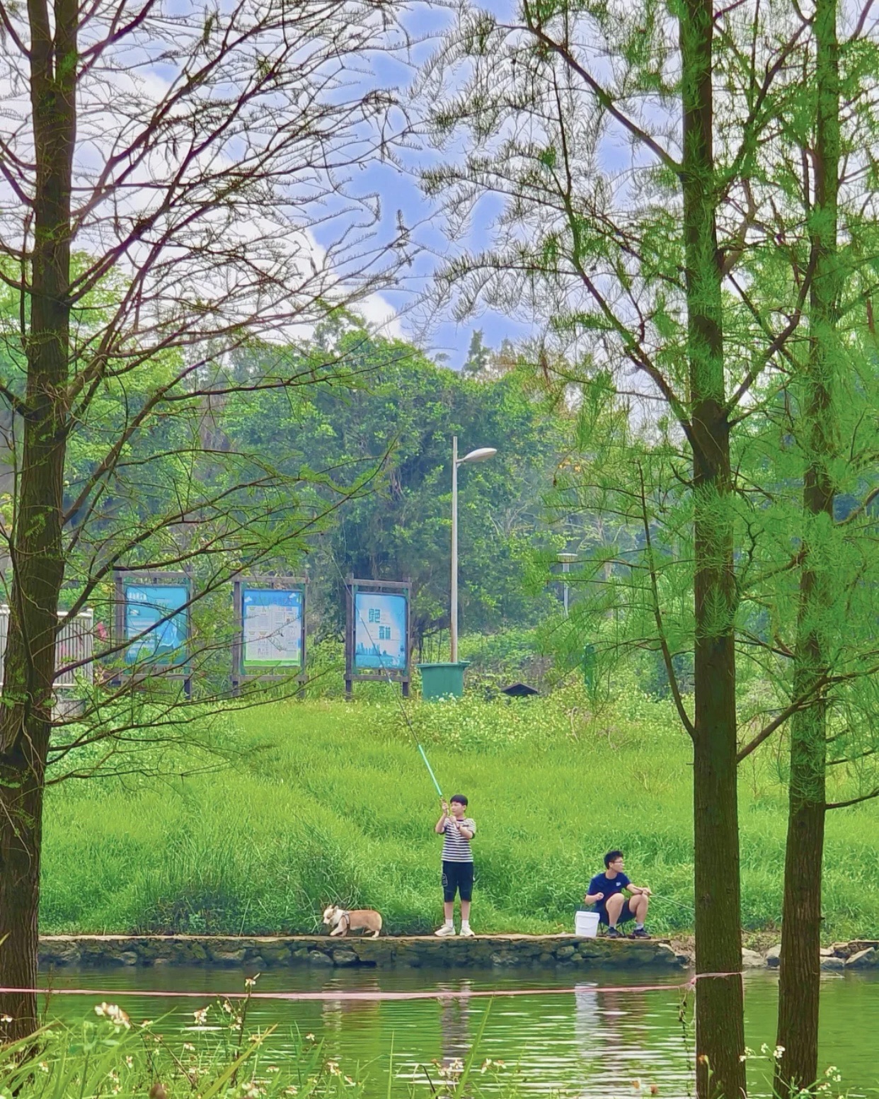 漠阳湖公园旅行图片 2