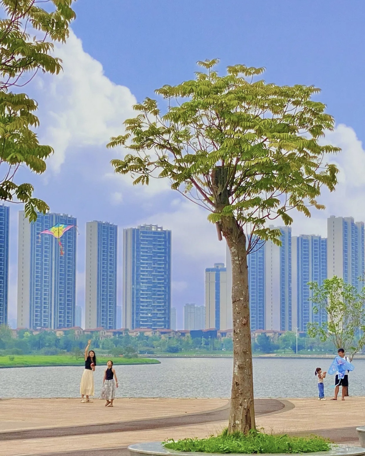 漠阳湖公园旅行图片 3