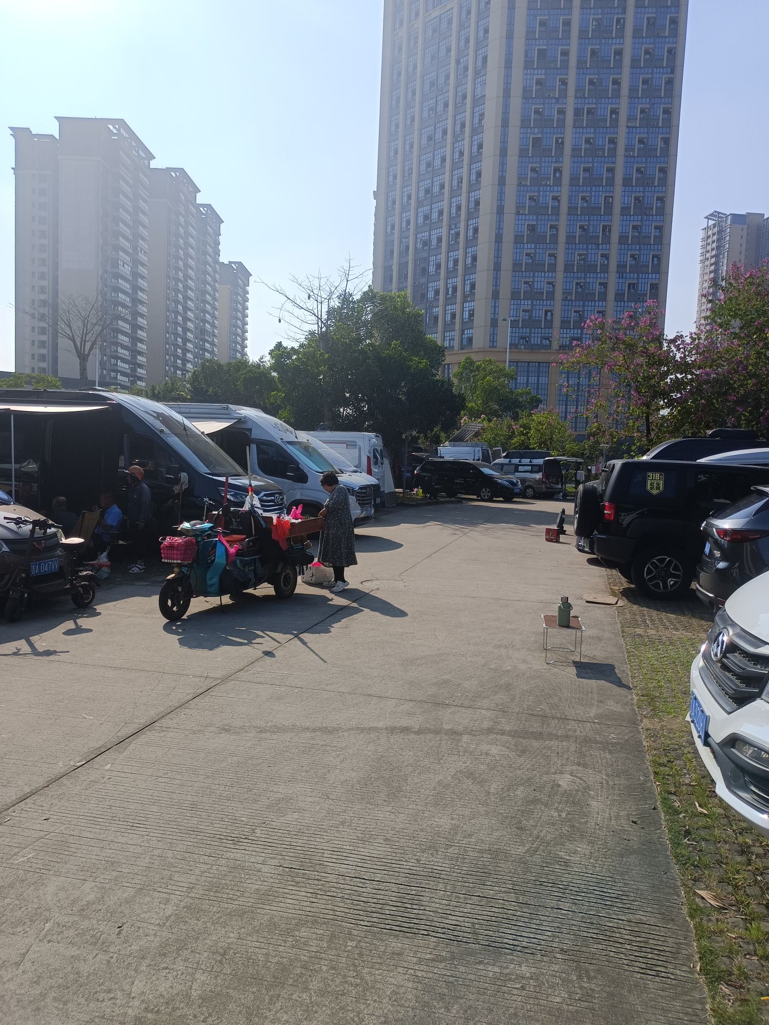 漠阳湖公园旅行图片 3