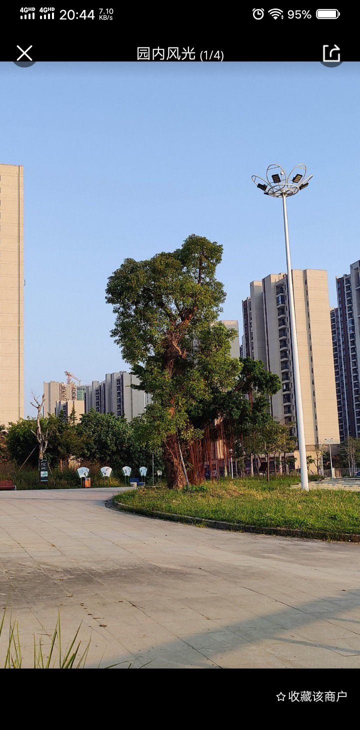 漠阳湖公园旅行图片 1