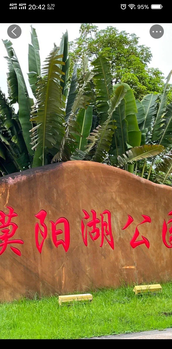 漠阳湖公园旅行图片 2