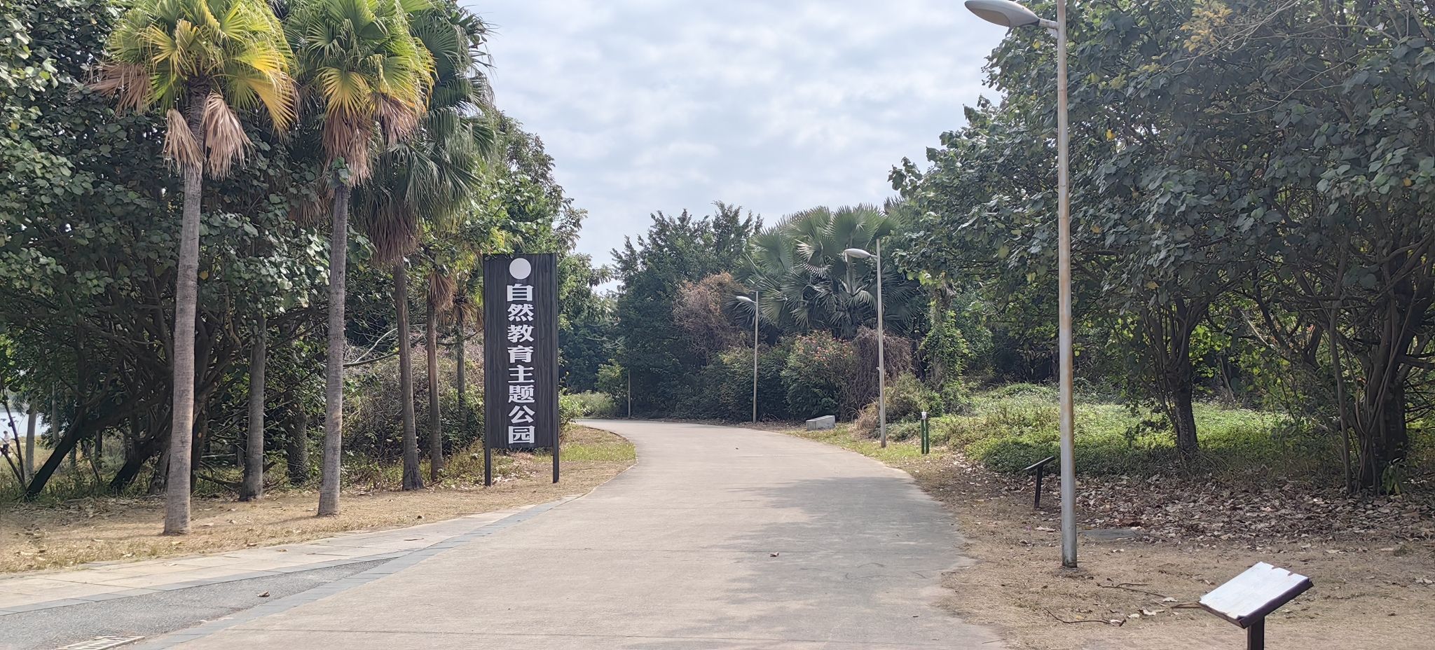 漠阳湖公园旅行图片 1