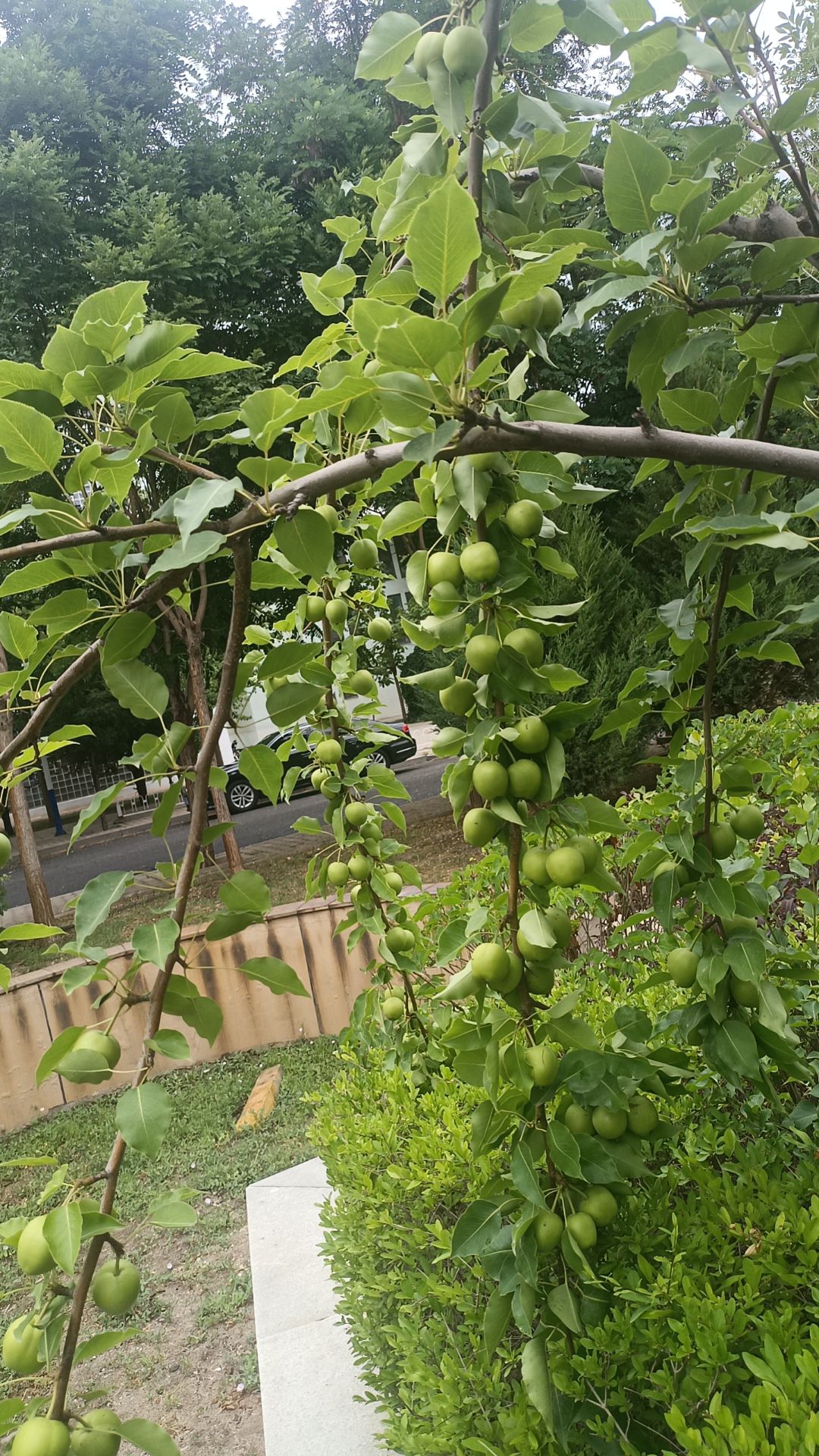 足球主题公园旅行图片 3