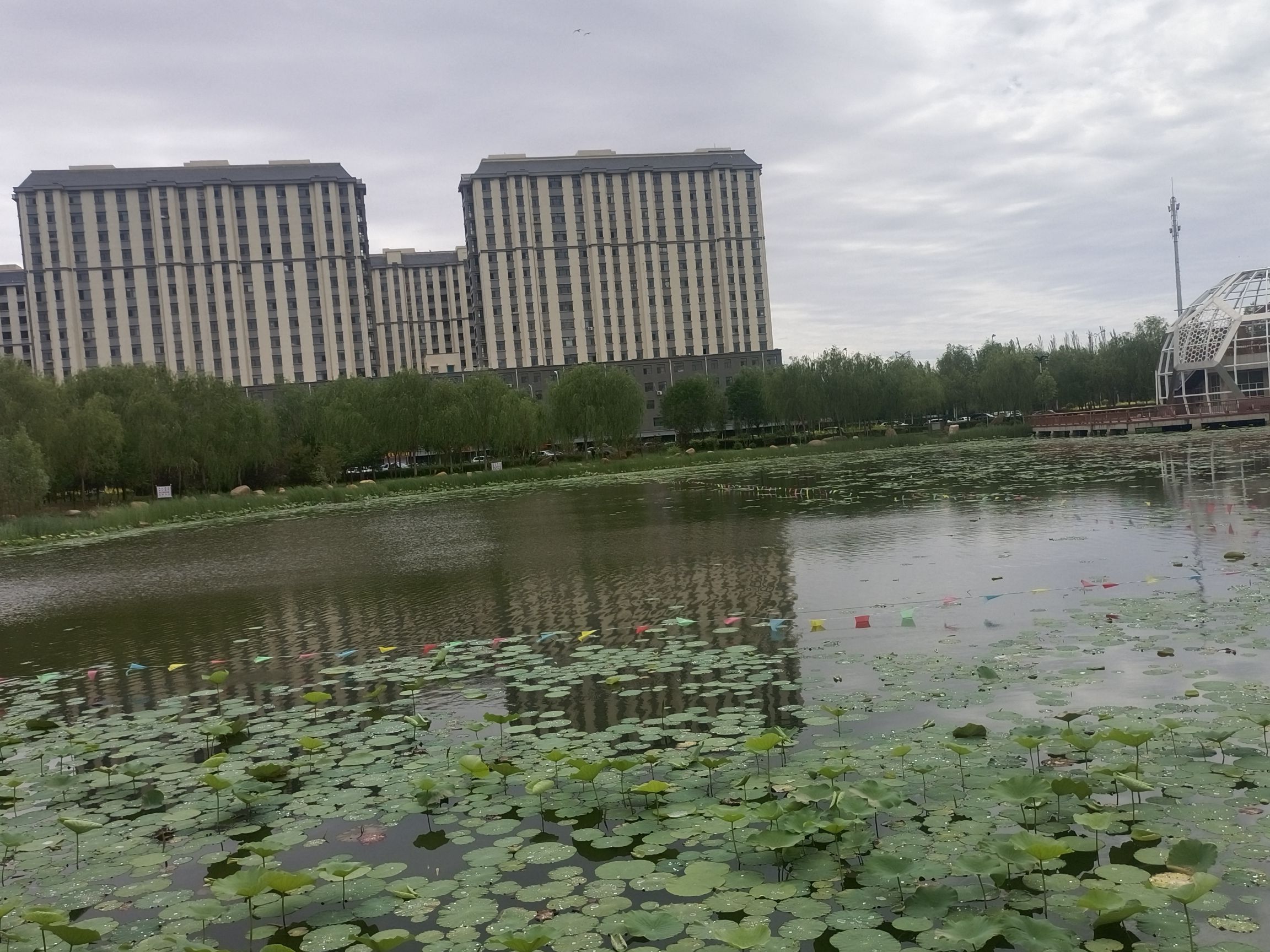 足球主题公园旅行图片 1