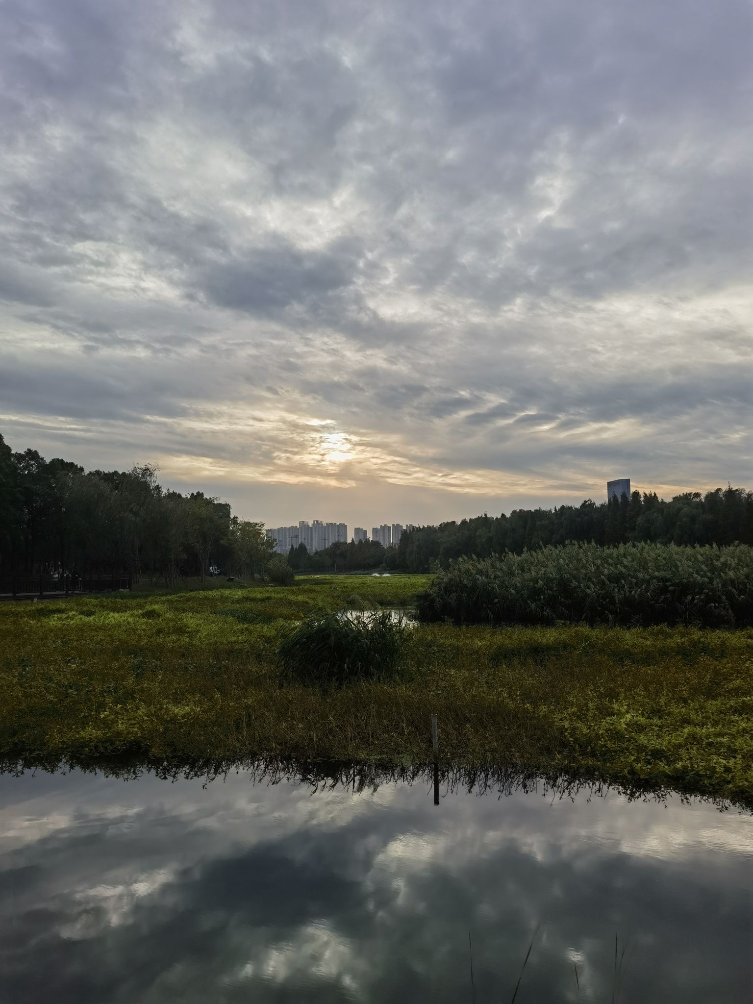 洋湖湿地公园欢动世界