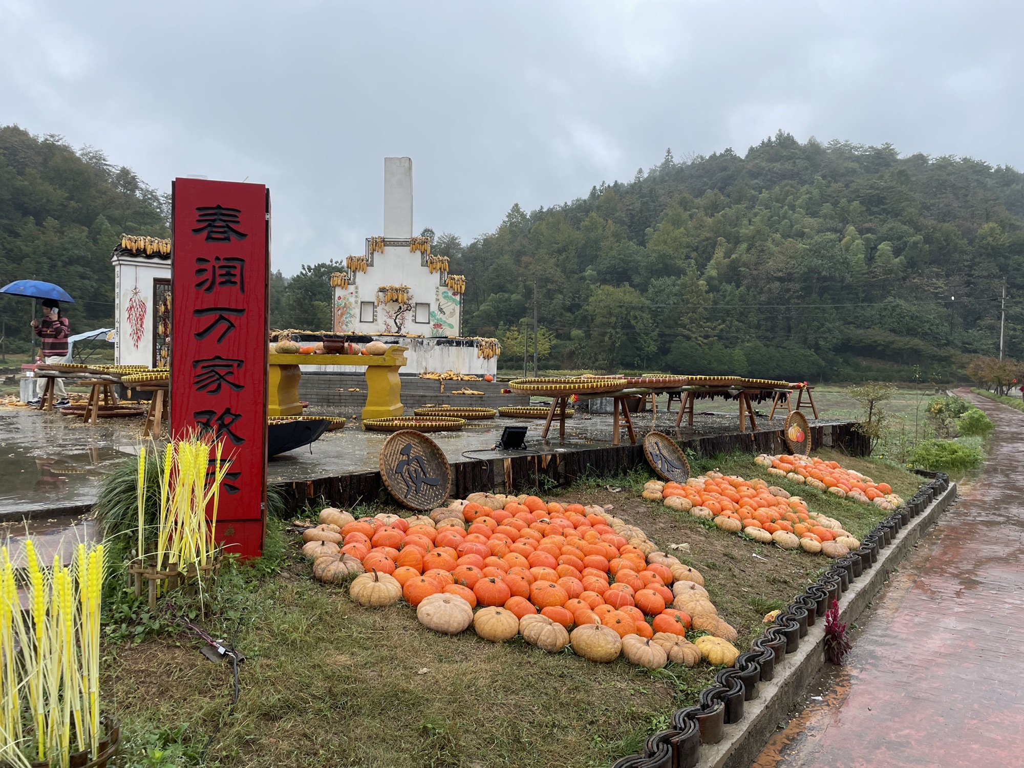 霭里中国乡村旅游模范村旅行图片 3