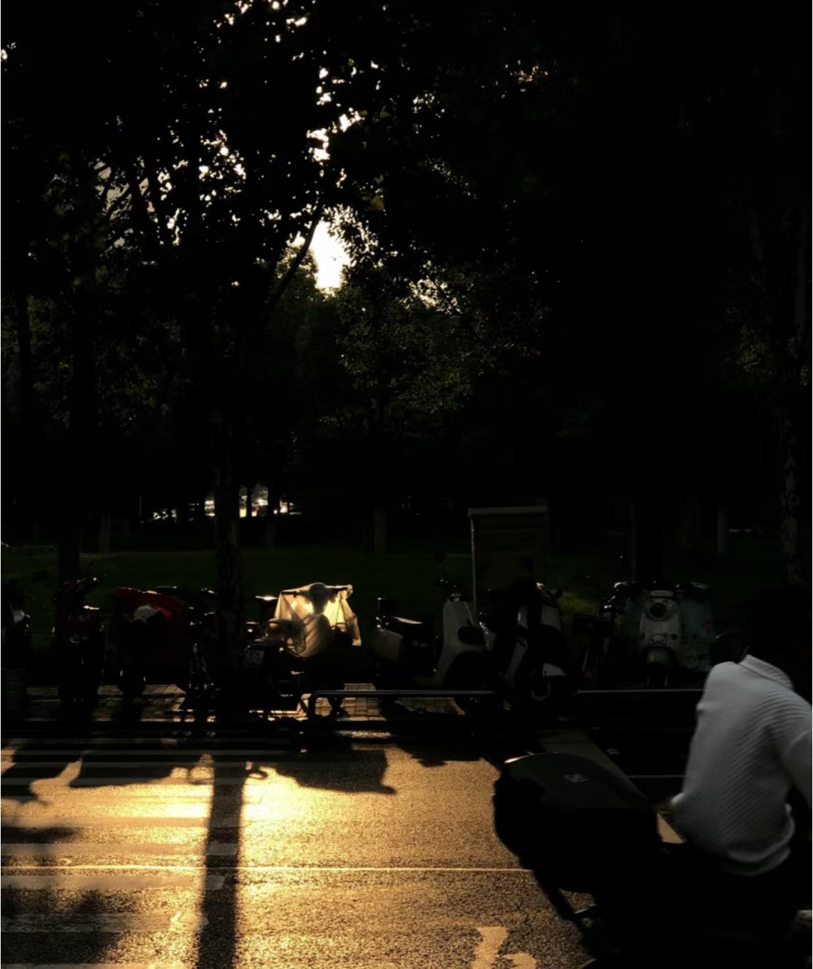 绿轴公园旅行图片 2