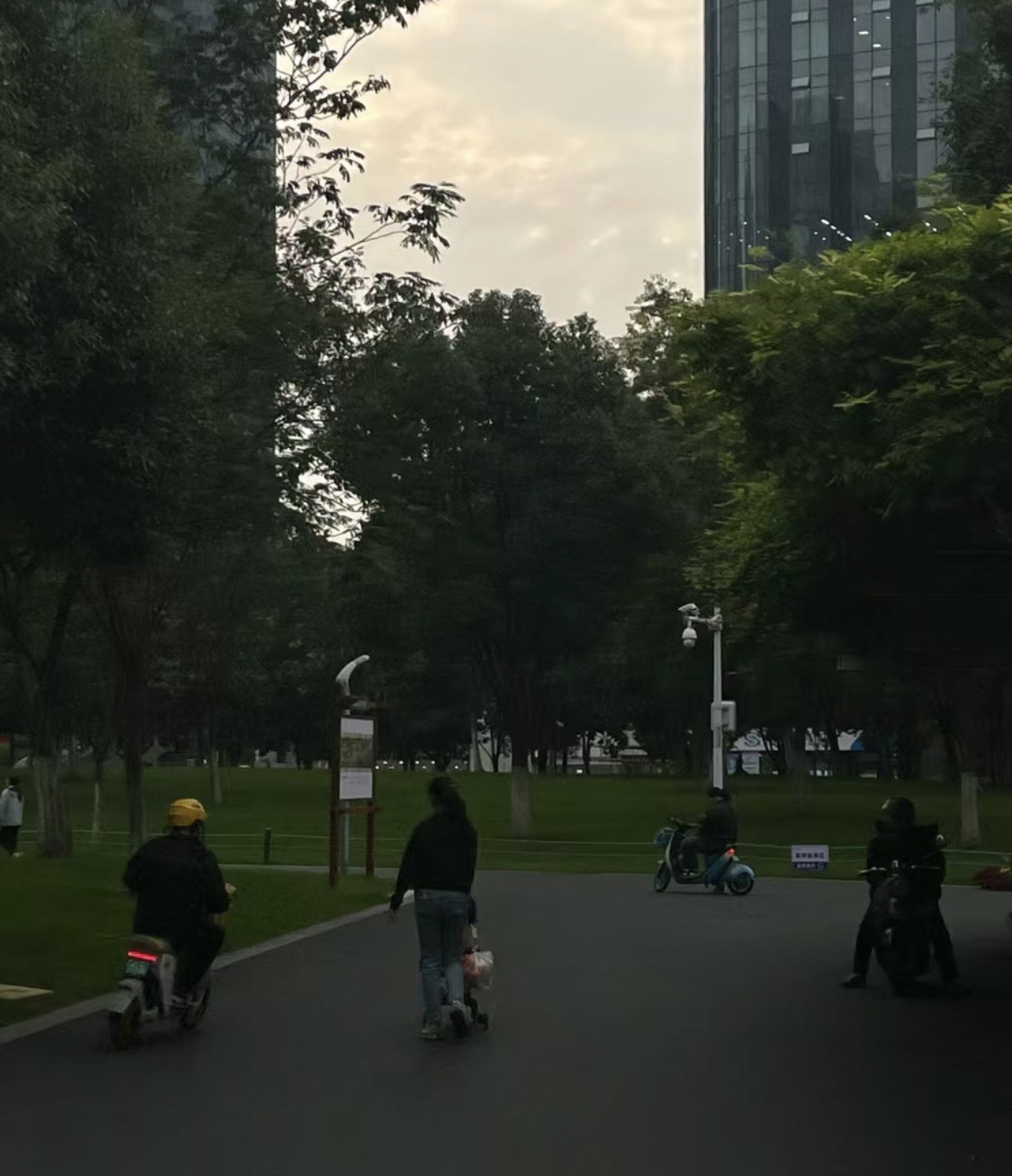 绿轴公园旅行图片 3