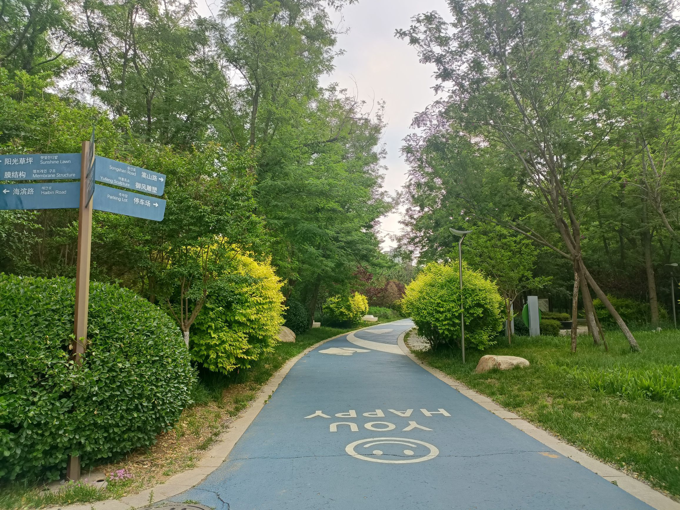金沙滩健康主题公园旅行图片 1