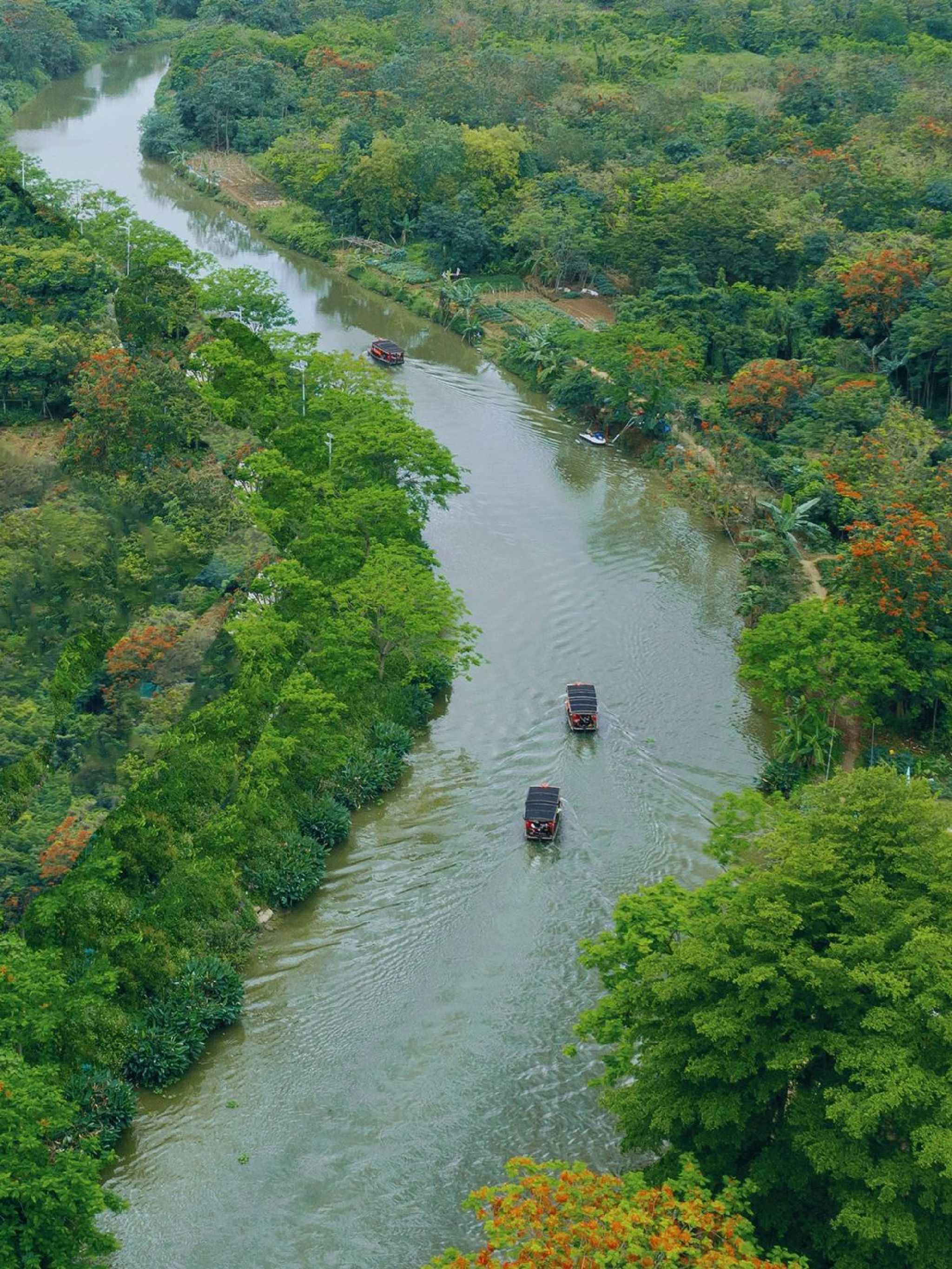 南溪水乡旅行图片 1