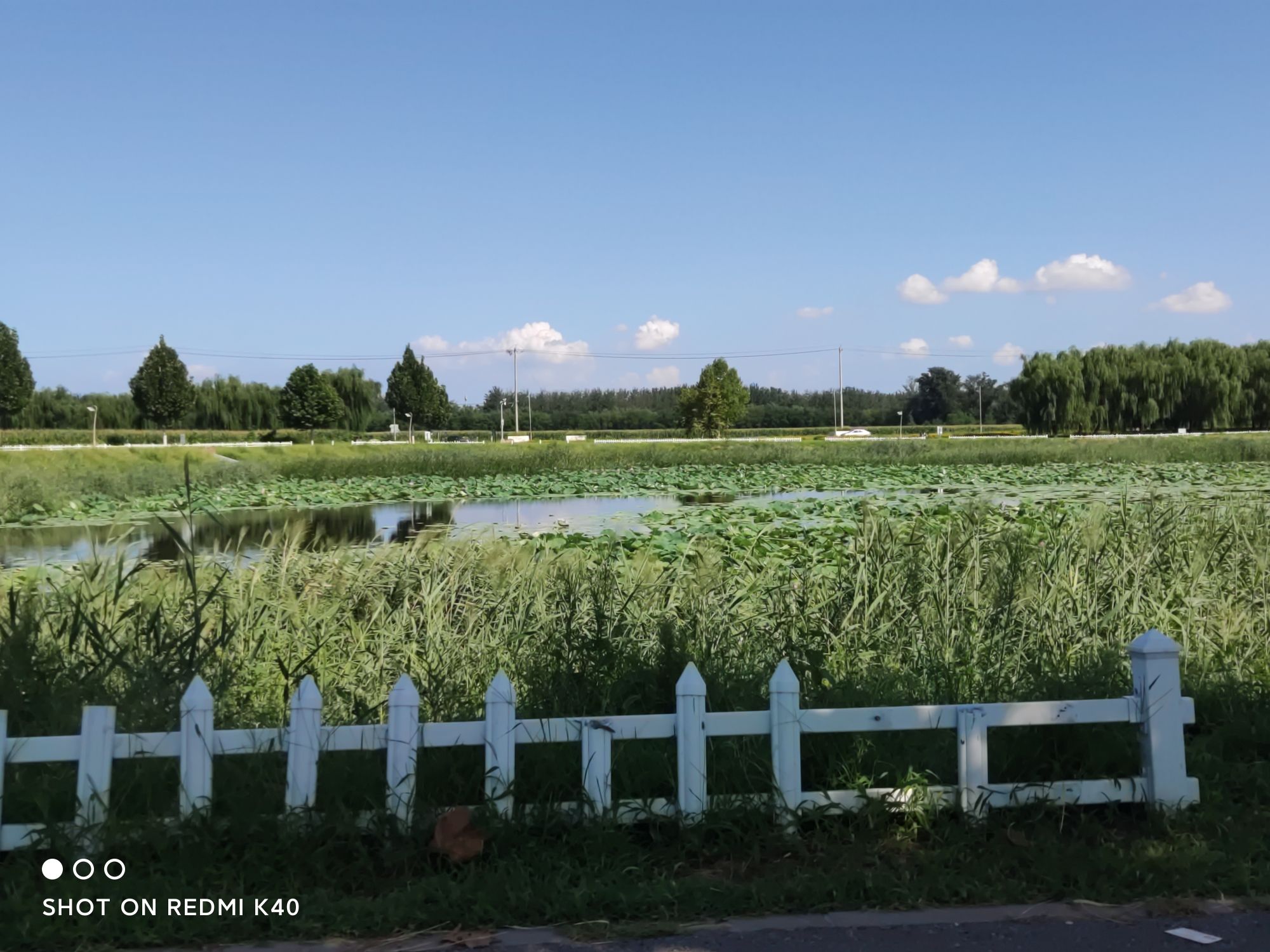 顺义千亩花海旅行图片 1