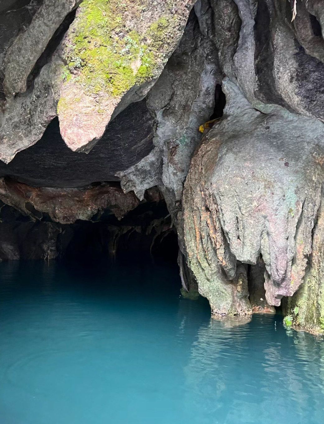 龙井村风景区旅行图片 1