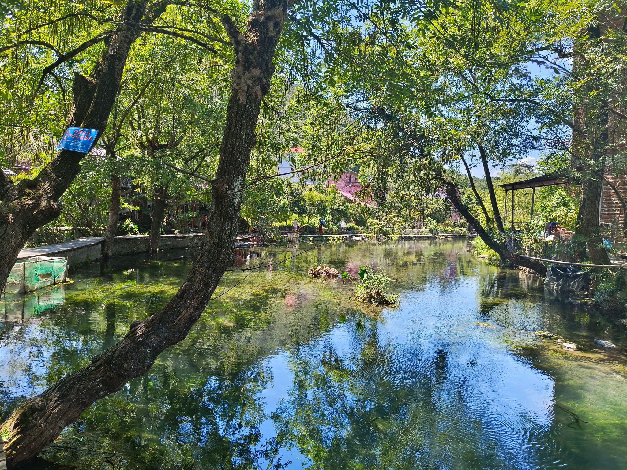 龙井村风景区旅行图片 3