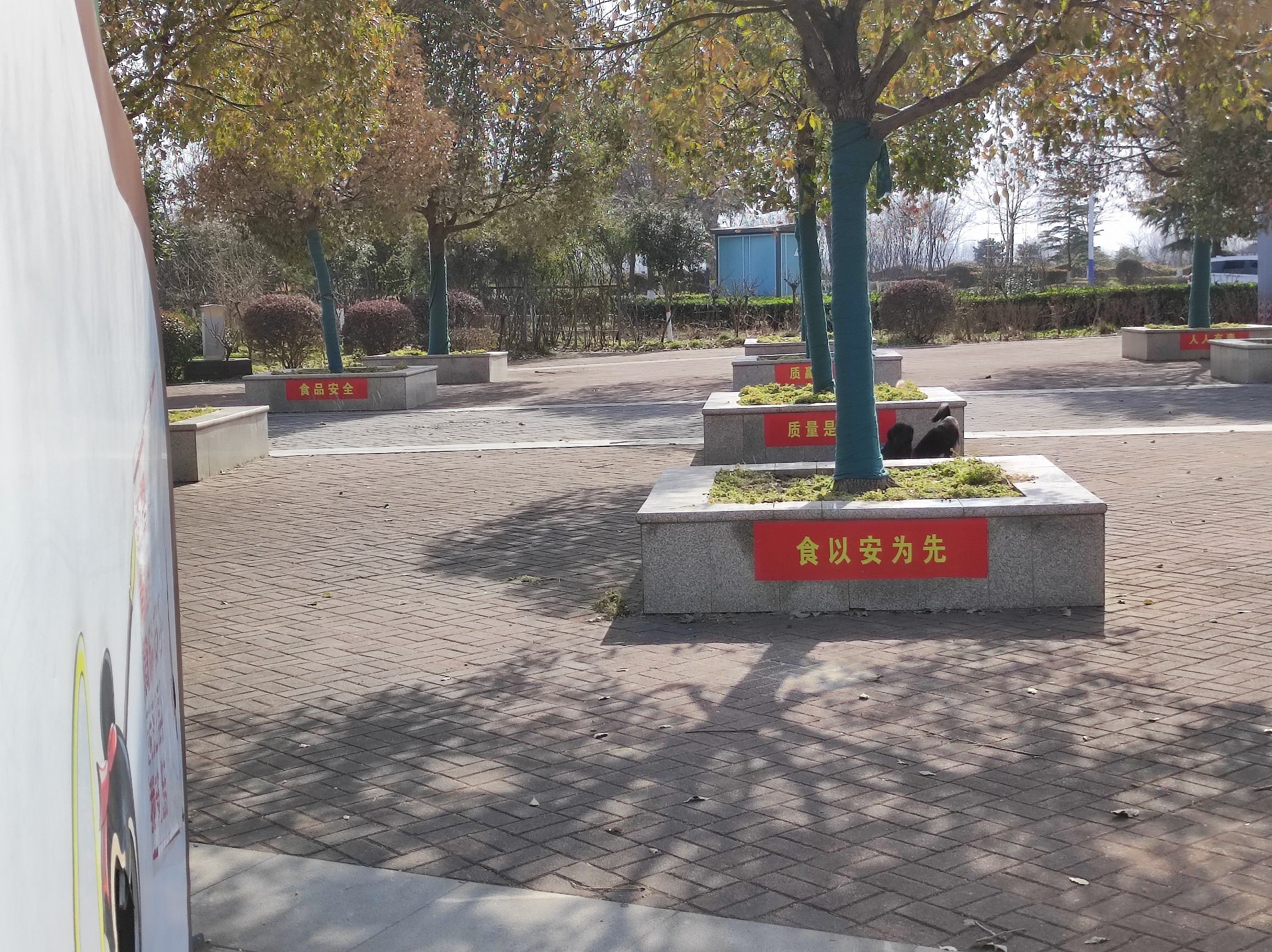 清水湖公园旅行图片 1
