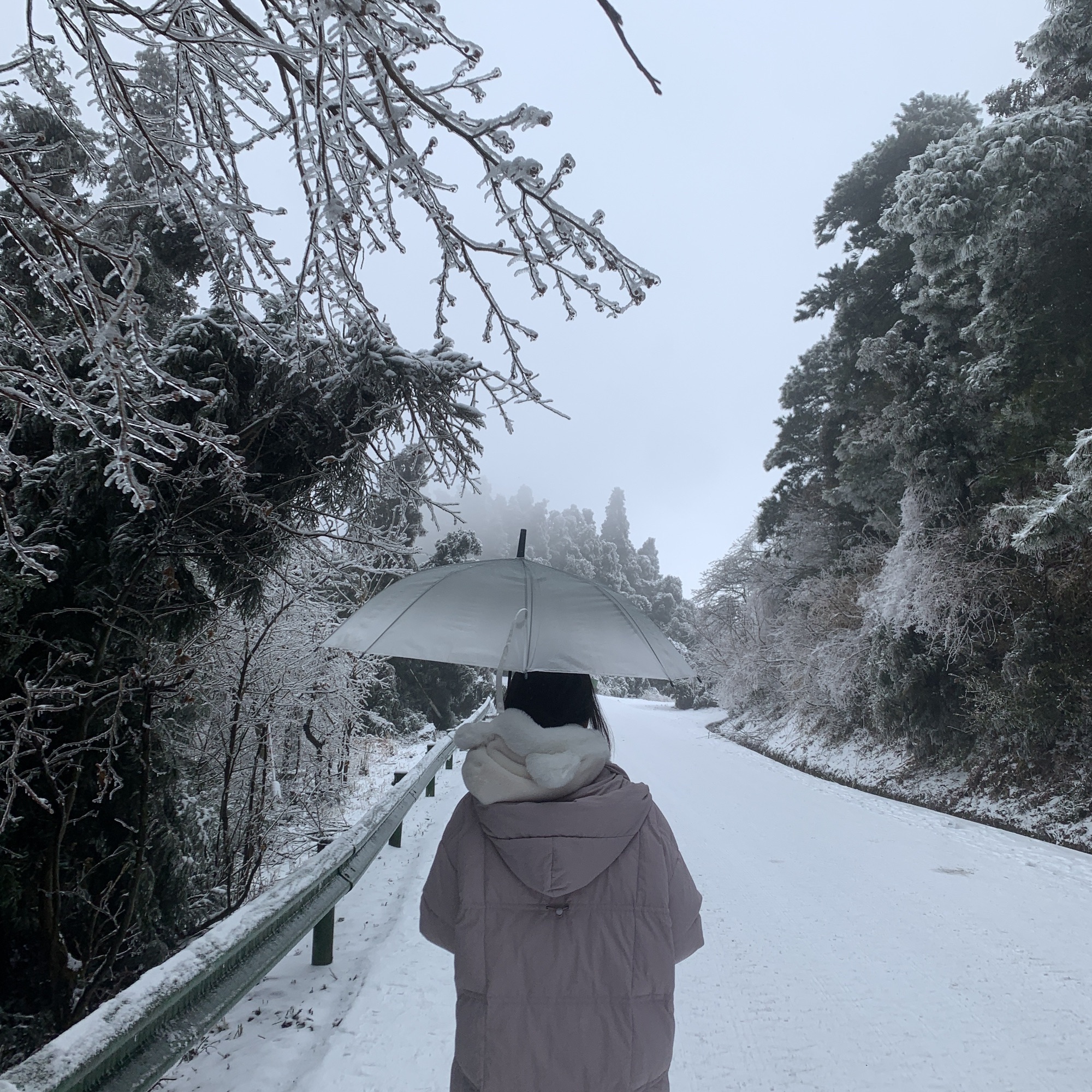 十里茶乡旅行图片 3