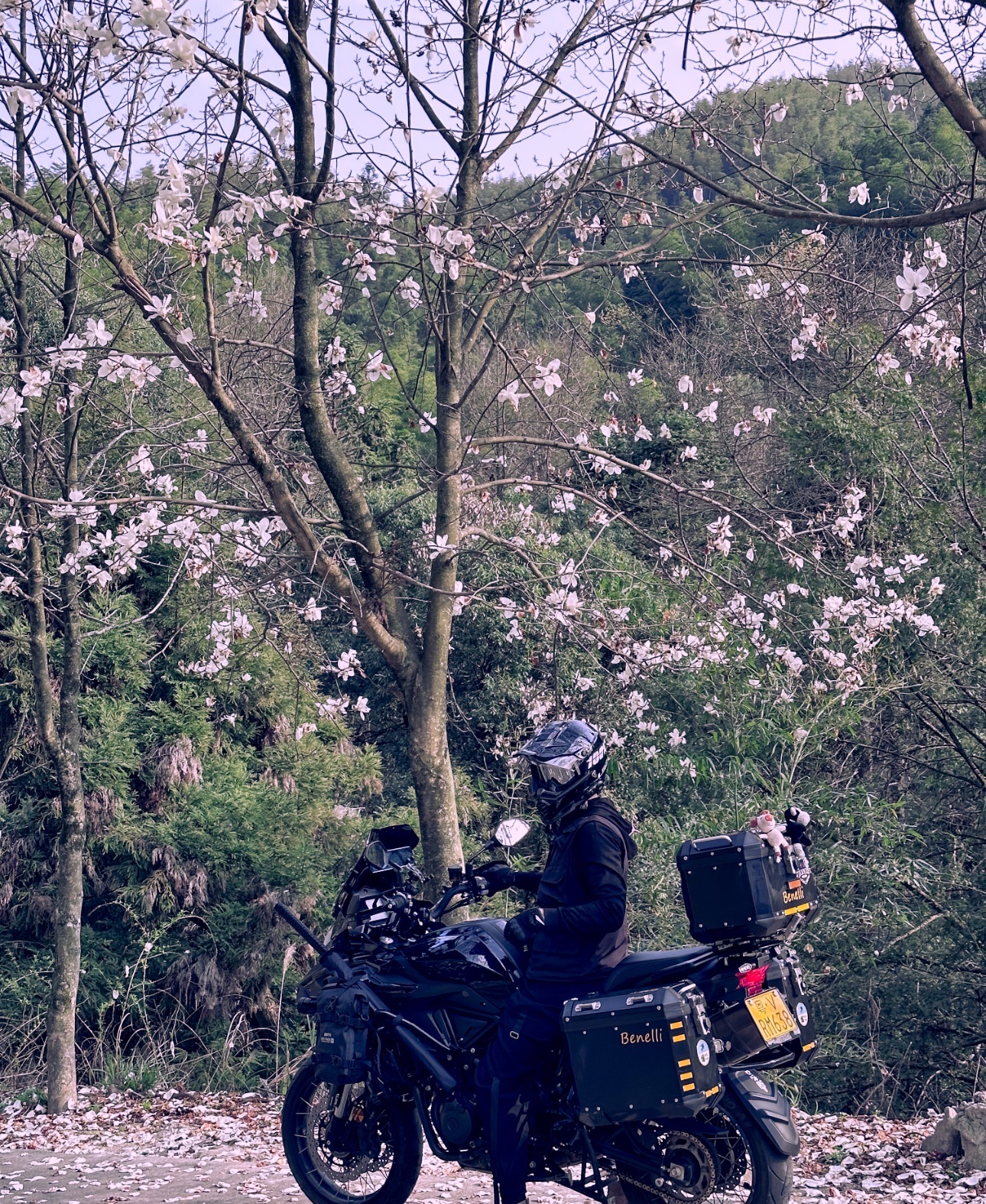 十里茶乡旅行图片 1