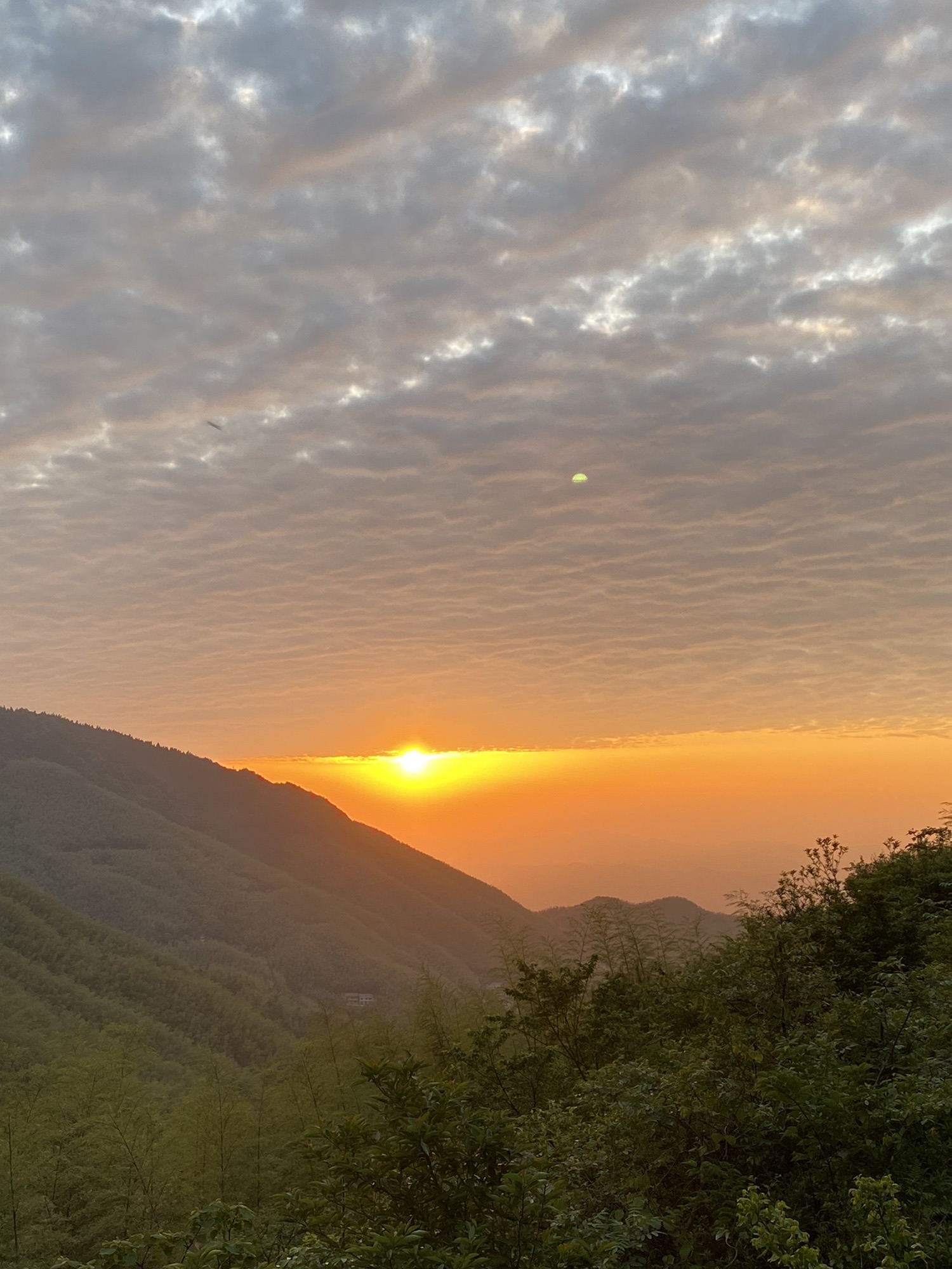 十里茶乡旅行图片 3