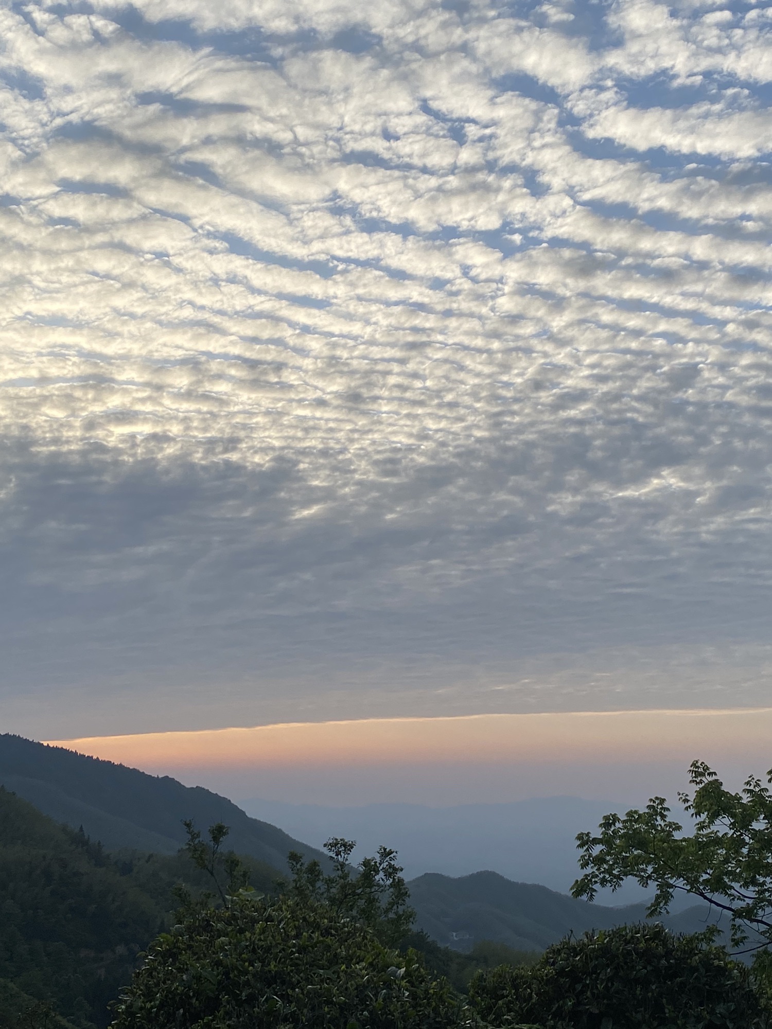 十里茶乡旅行图片 1