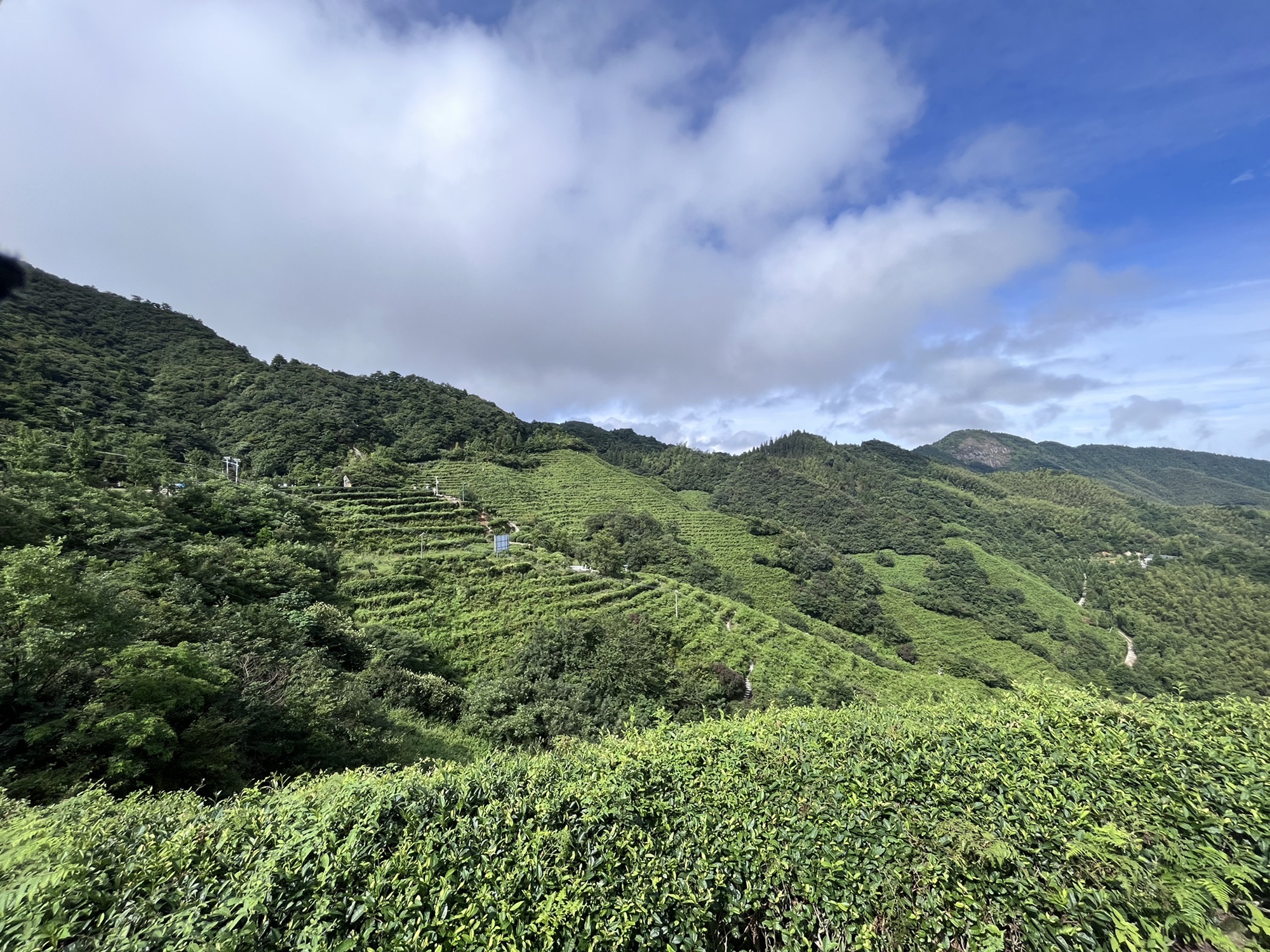 十里茶乡