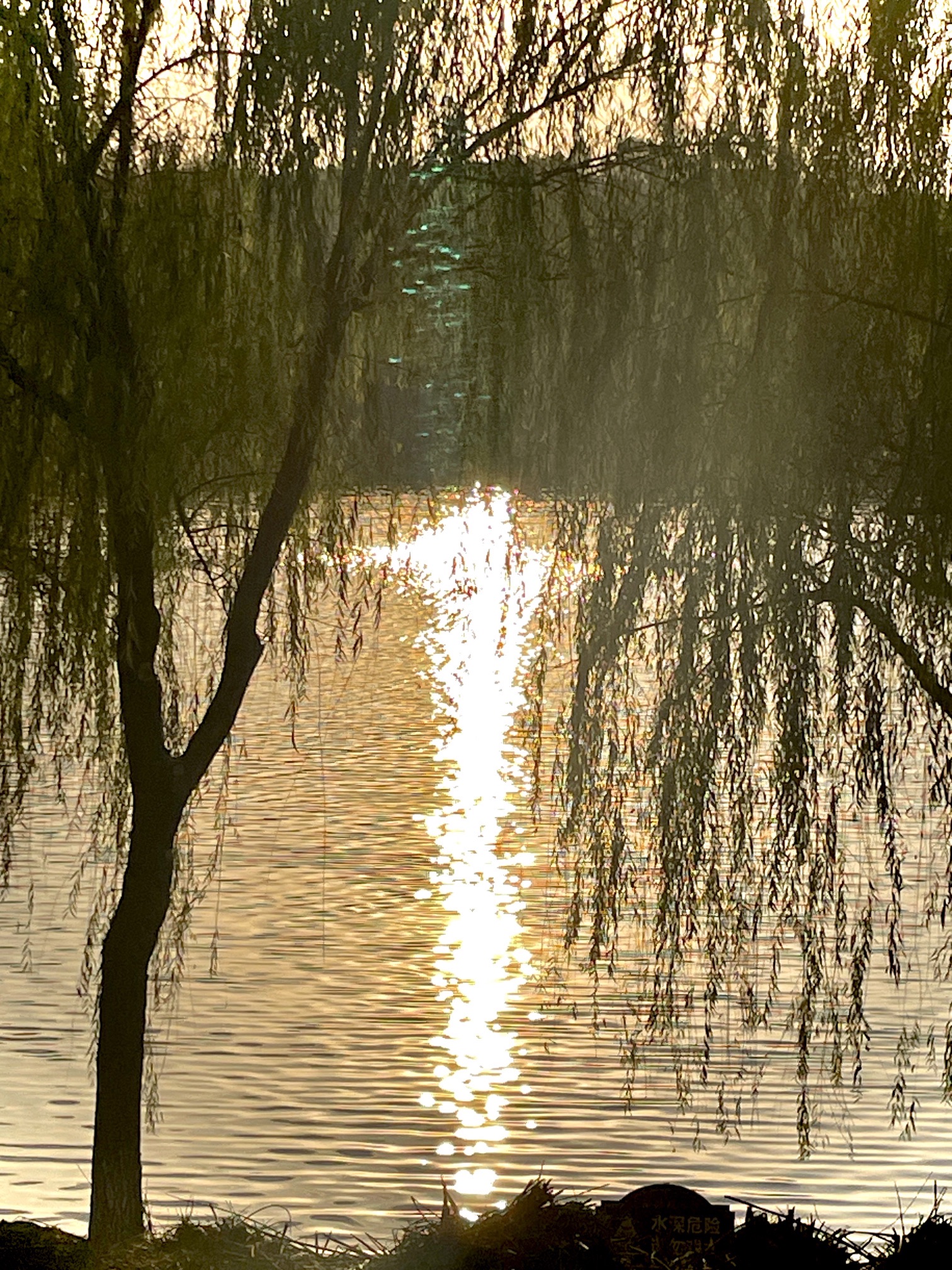 铜鼓湖湿地公园旅行图片 1