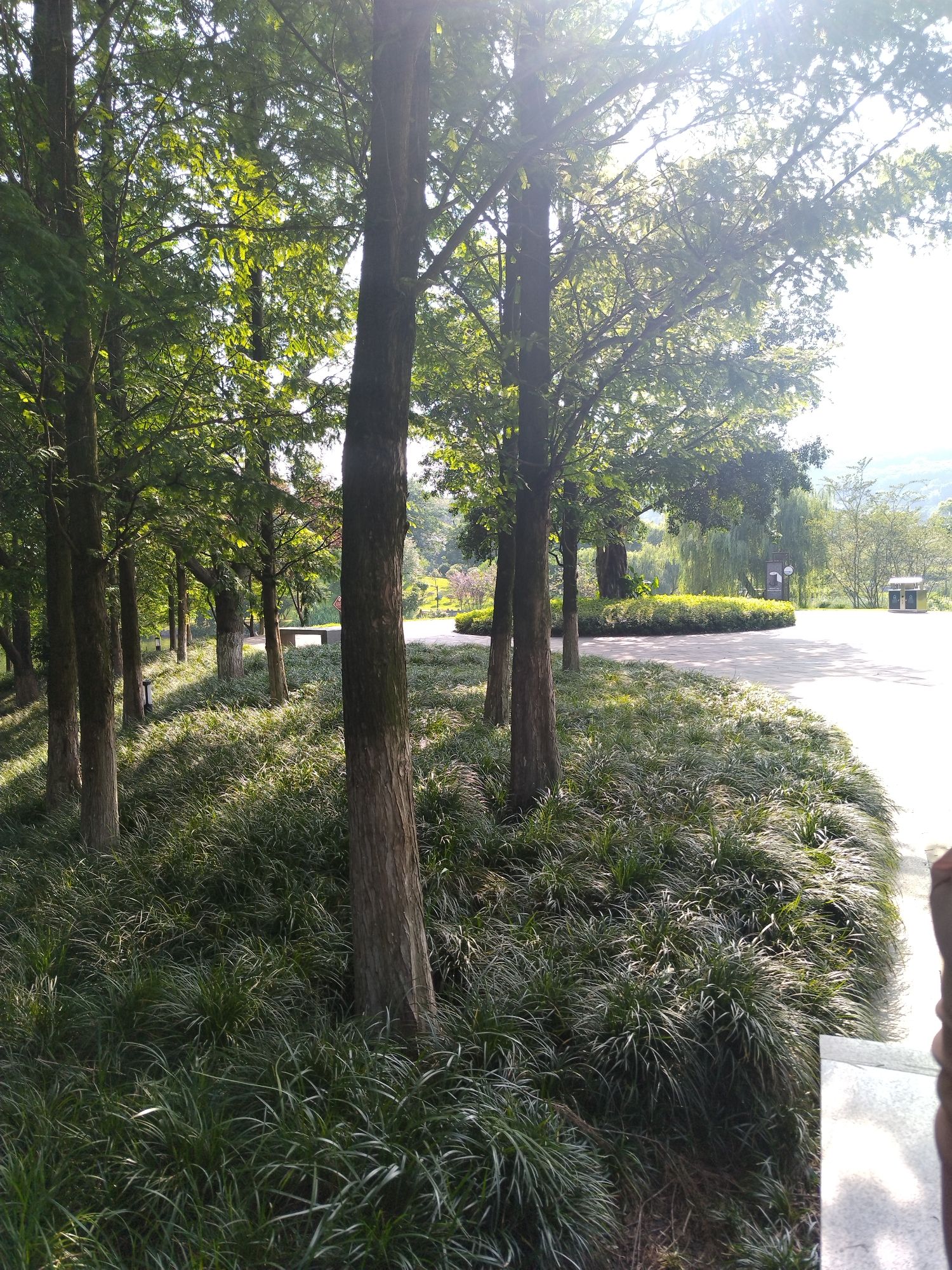 铜鼓湖湿地公园旅行图片 2
