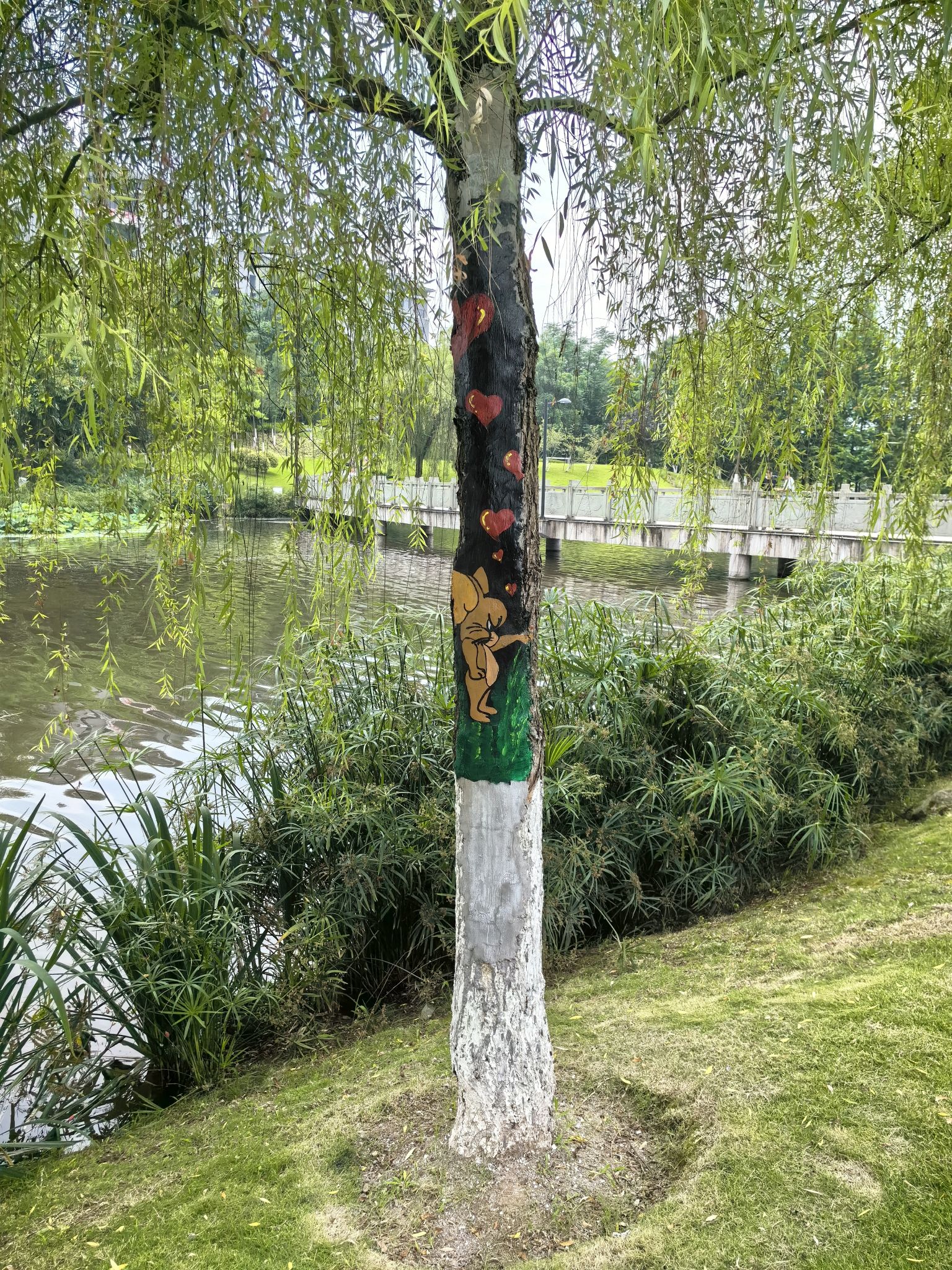 铜鼓湖湿地公园旅行图片 3