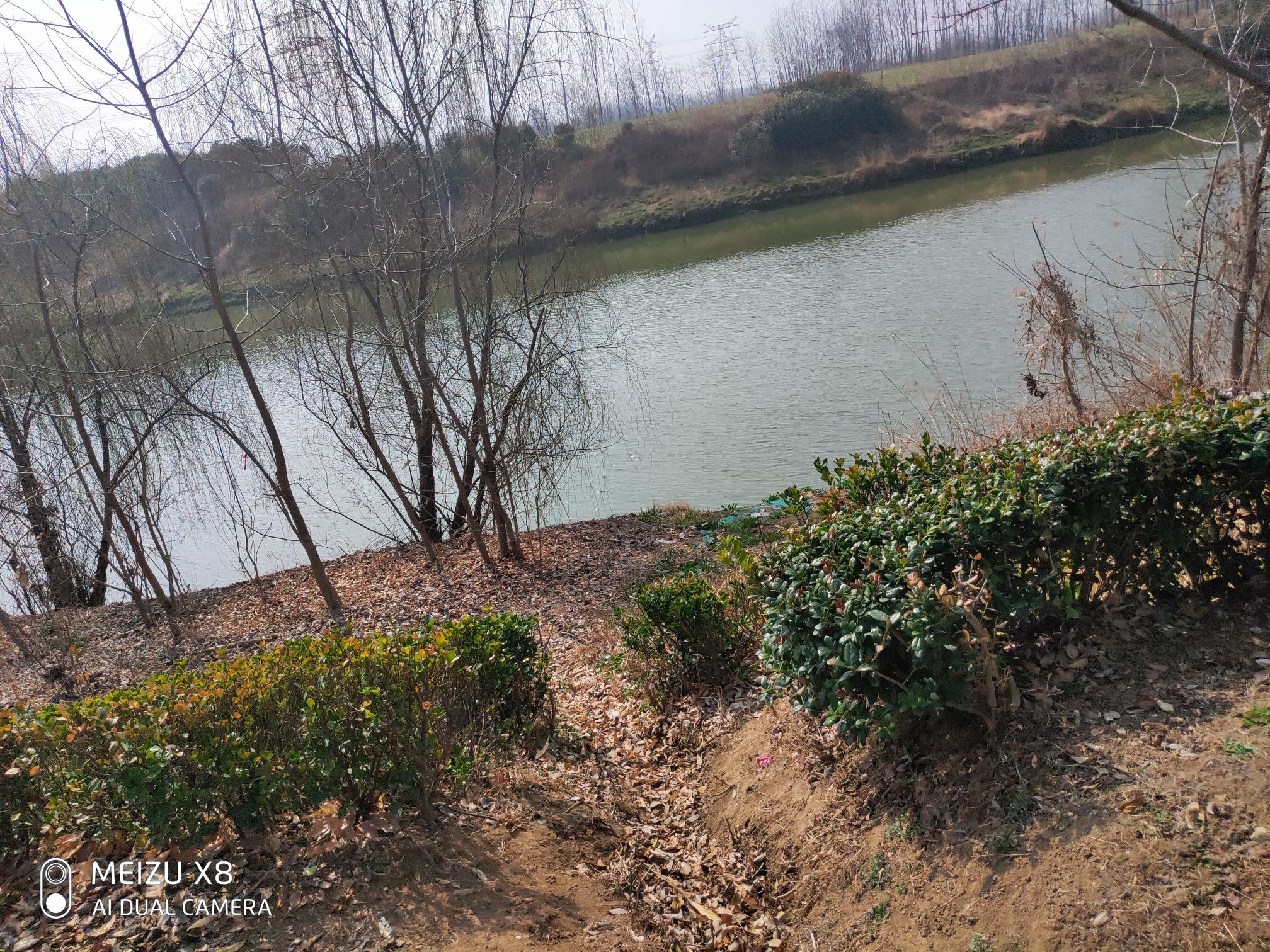 南山公园旅行图片 1