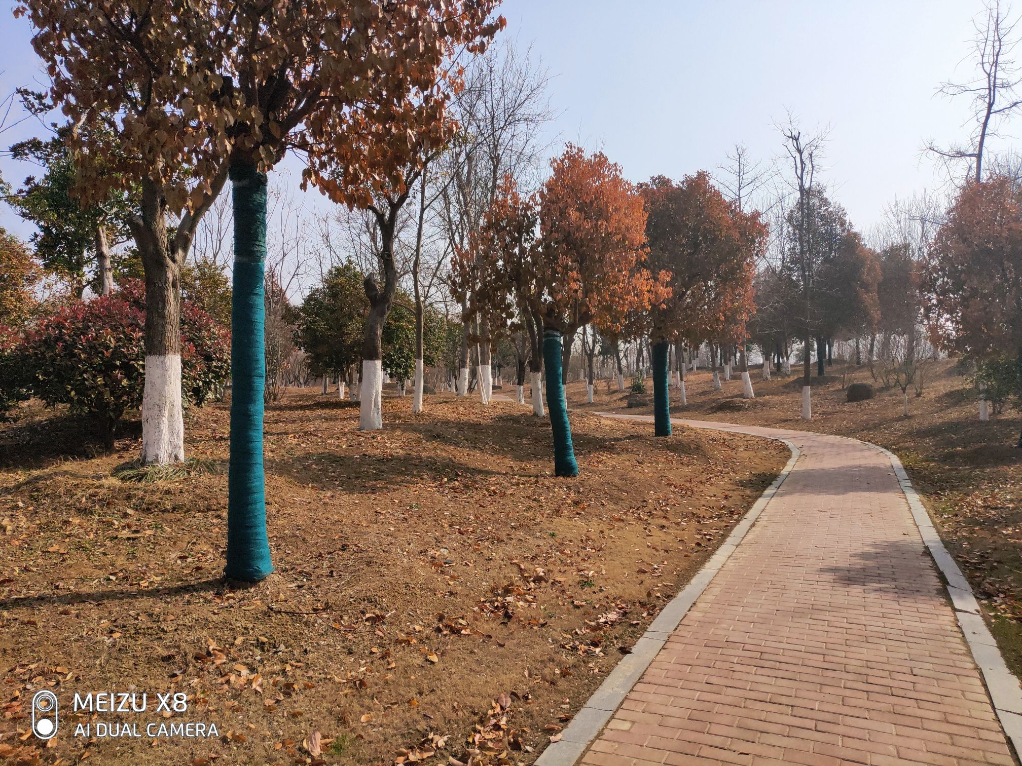 南山公园旅行图片 3