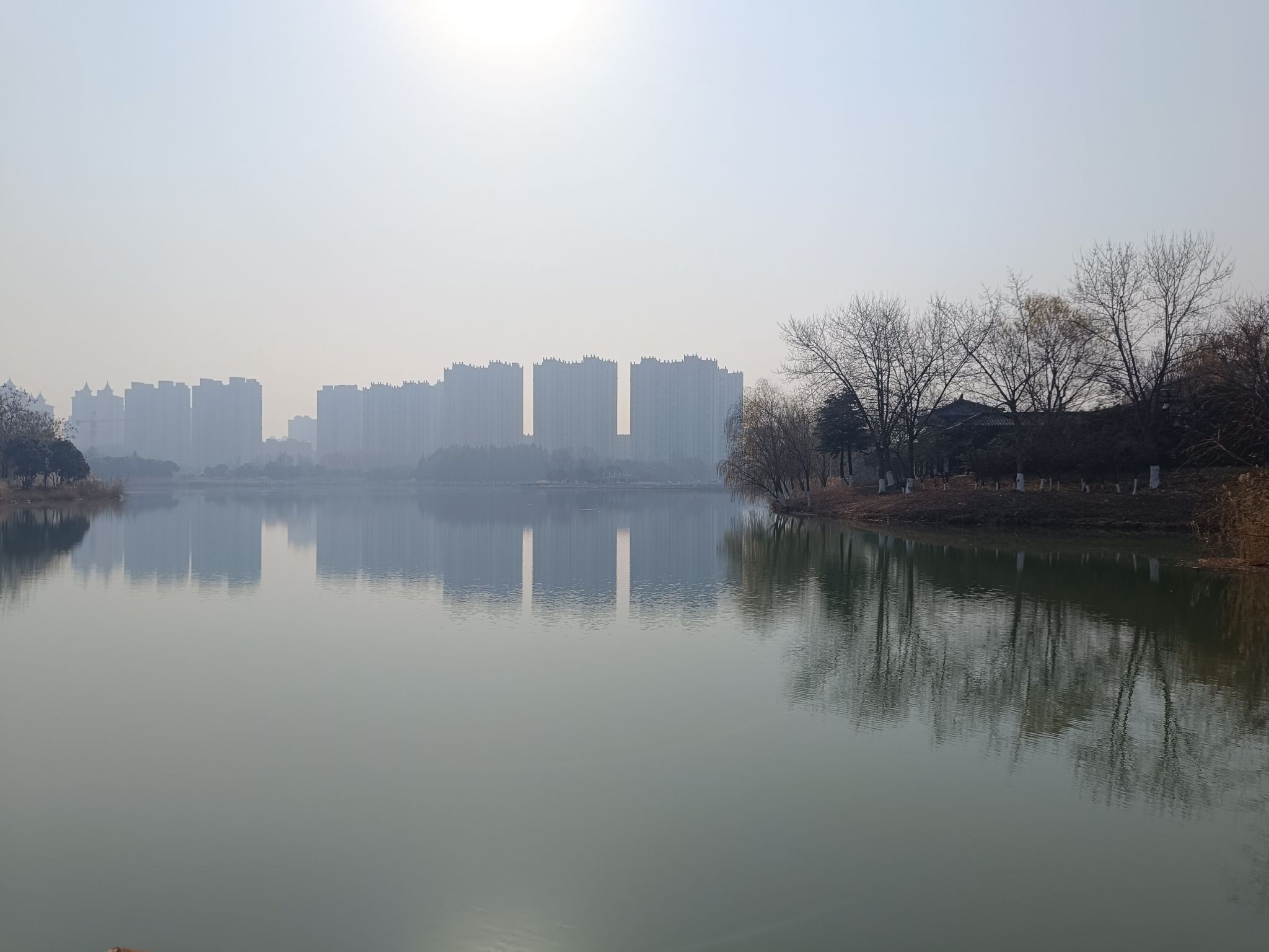 南山公园旅行图片 3