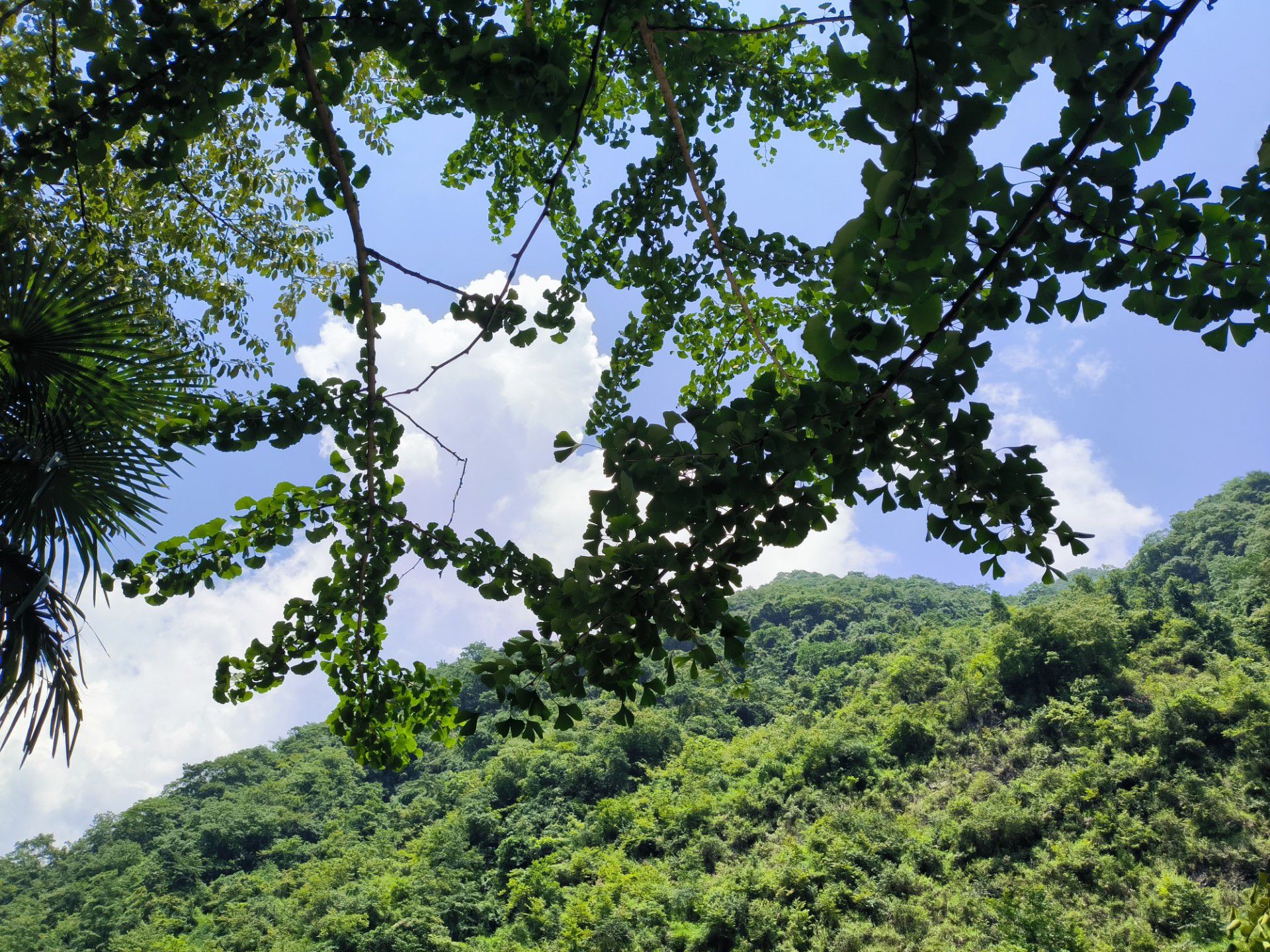 千佛山漂流(暂停开放)旅行图片 2