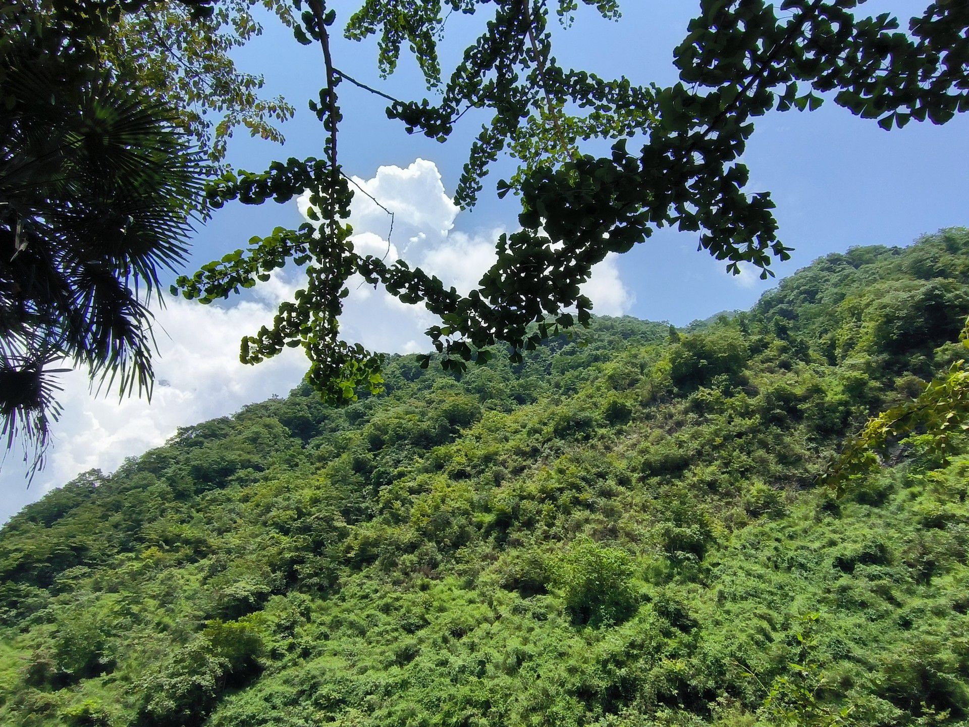 千佛山漂流(暂停开放)旅行图片 3