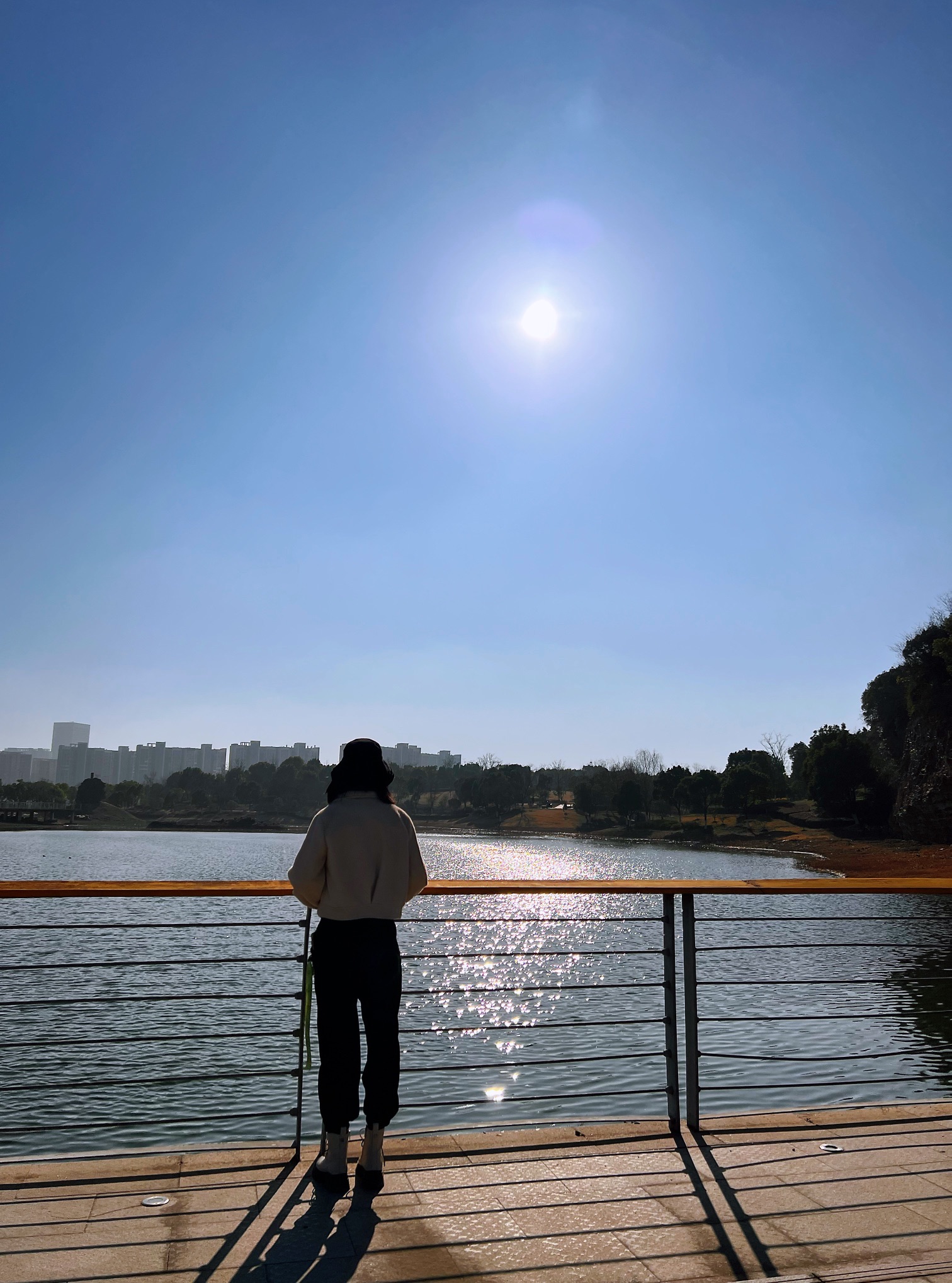 恩顾山公园旅行图片 1