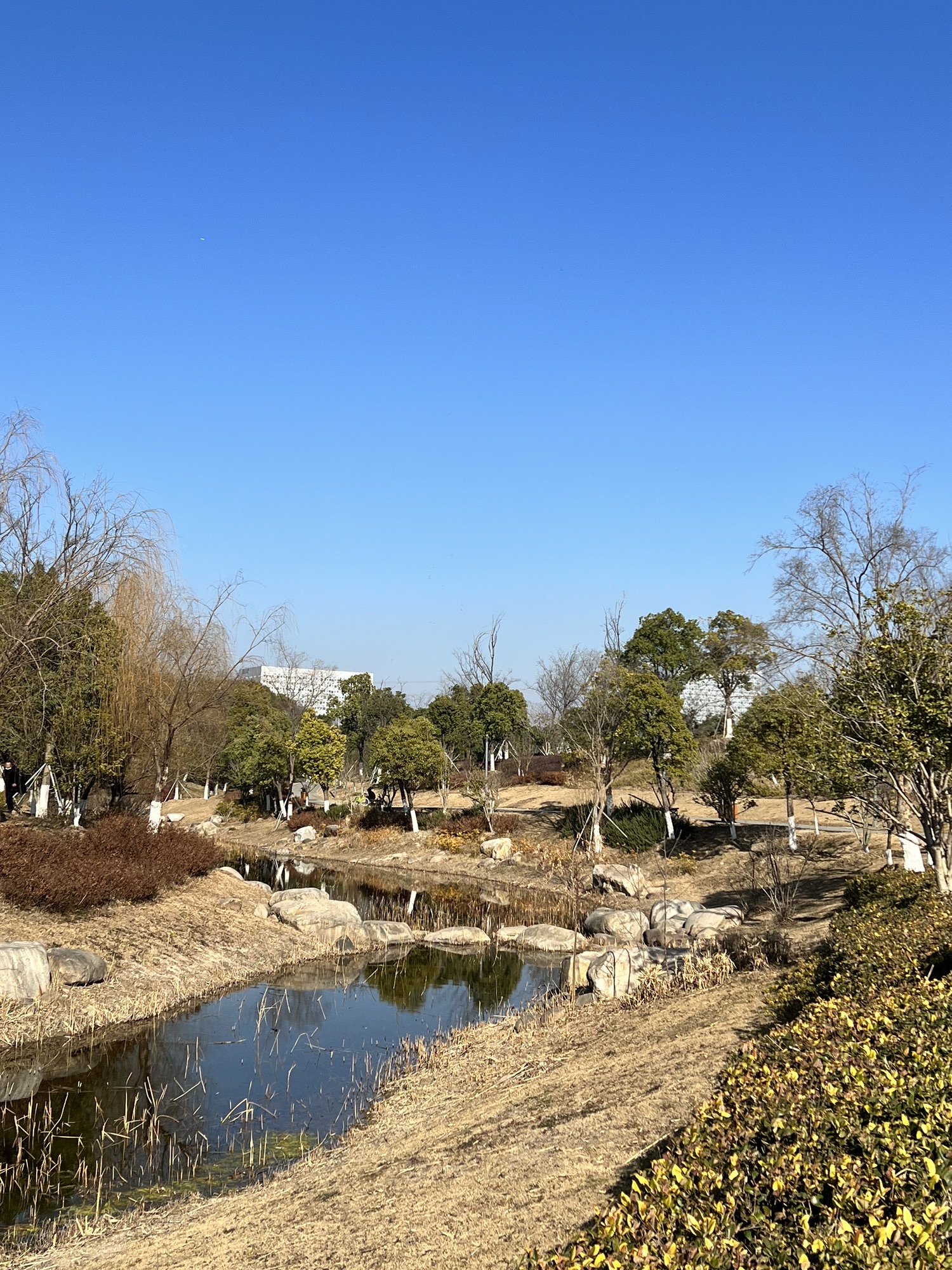 恩顾山公园旅行图片 2