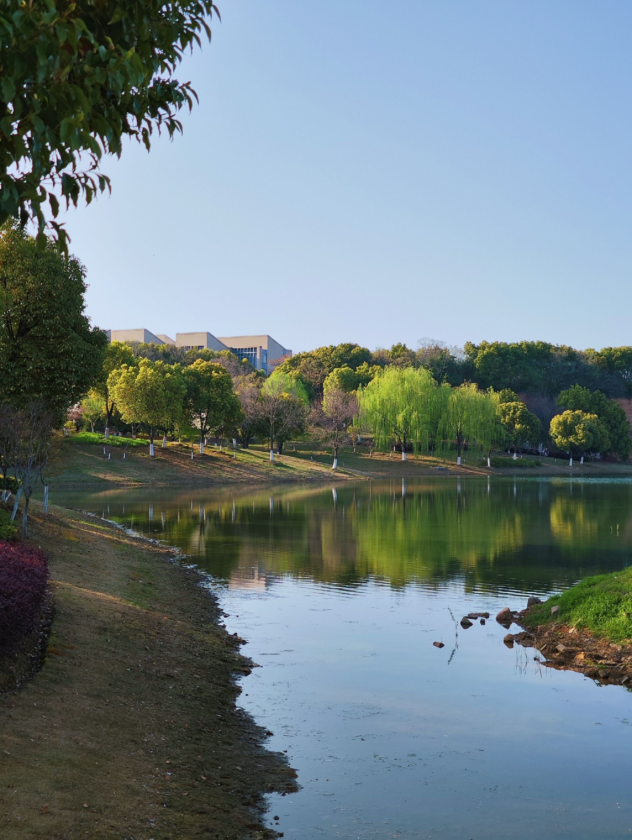 恩顾山公园旅行图片 3