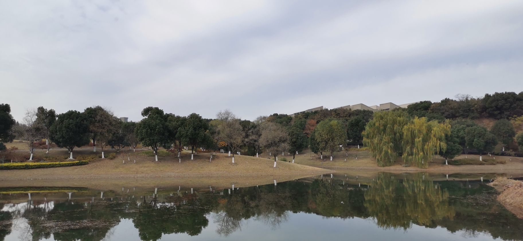 恩顾山公园旅行图片 1