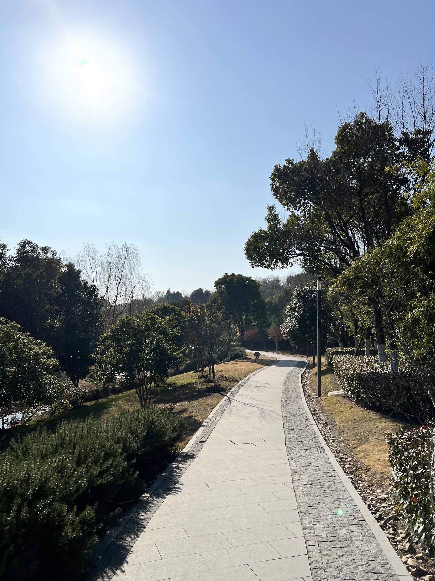 恩顾山公园旅行图片 3