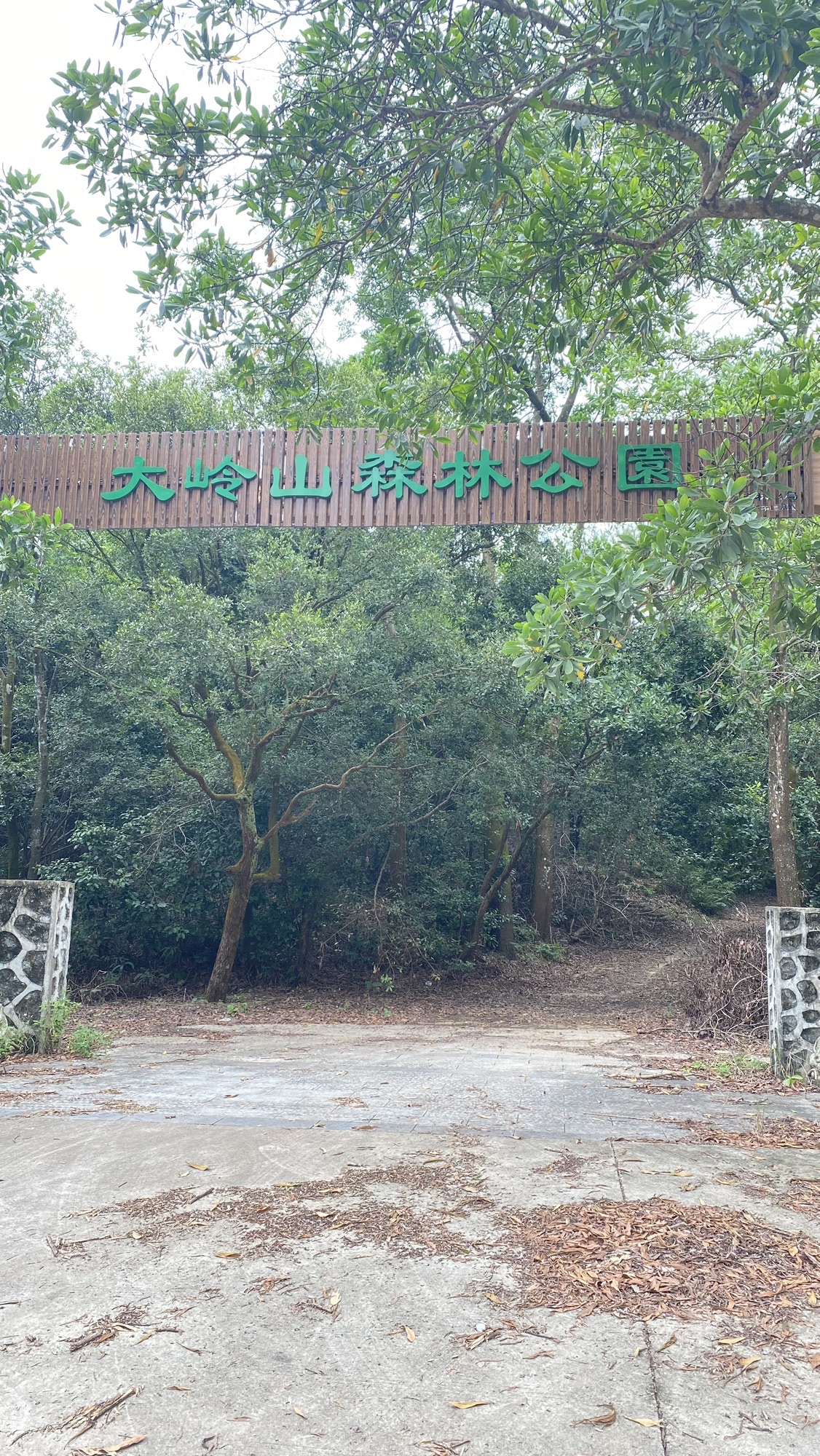 大岭山森林公园旅行图片 3